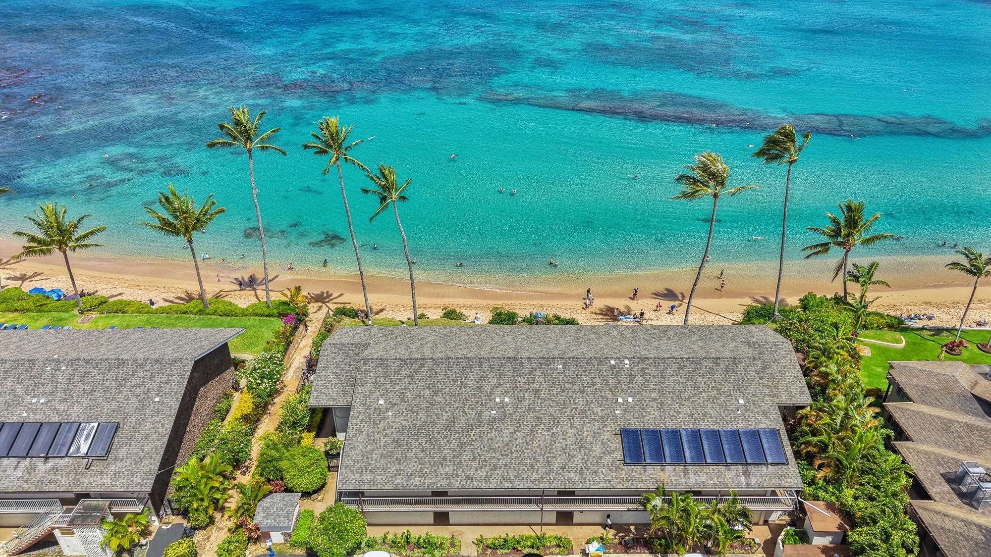 Napili Sunset condo # 111, Lahaina, Hawaii - photo 36 of 46
