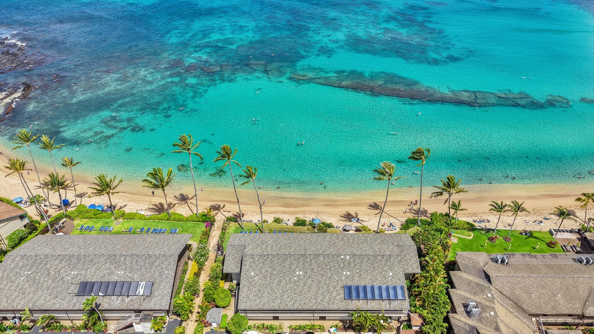 Napili Sunset condo # 111, Lahaina, Hawaii - photo 37 of 46