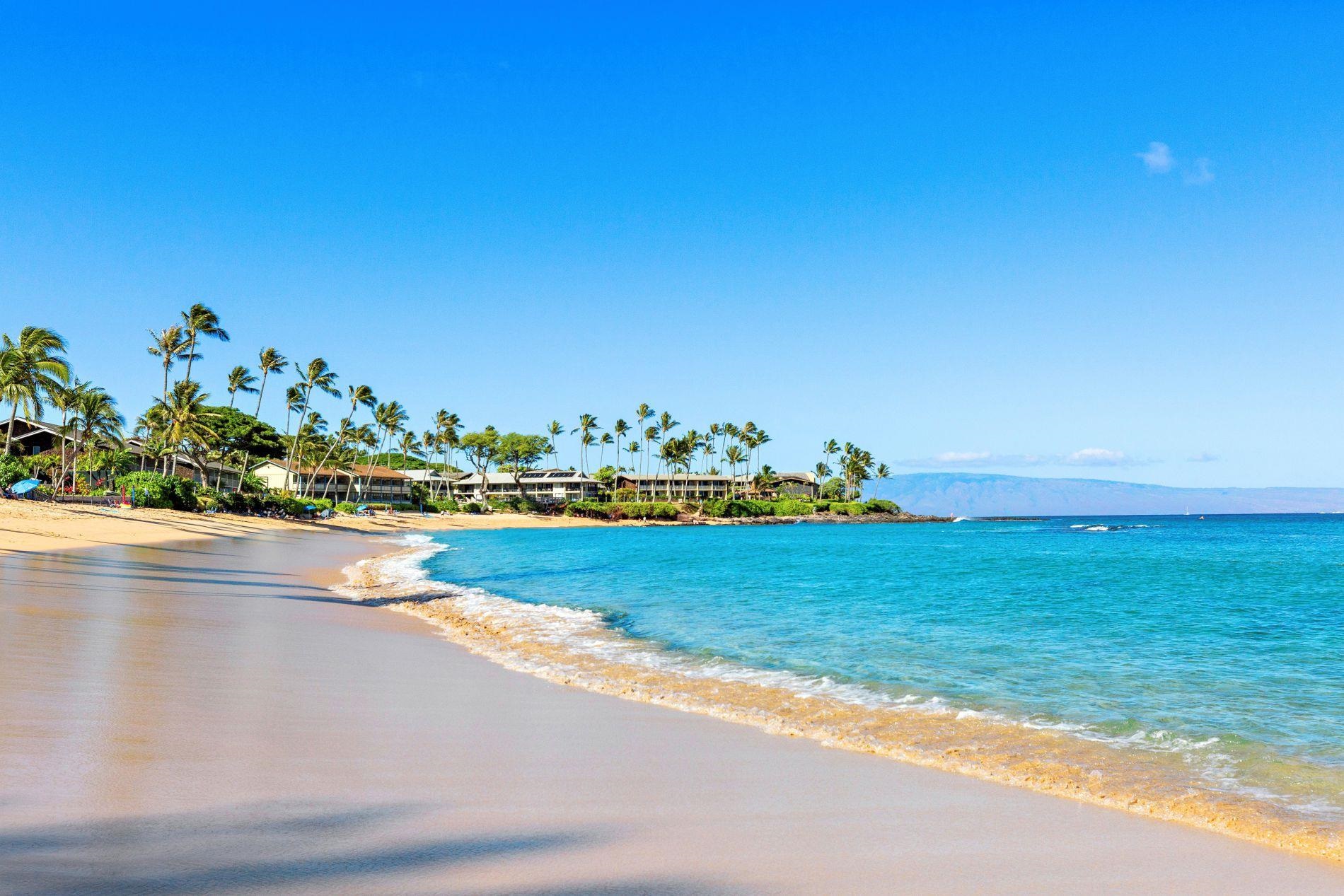 Napili Sunset condo # 215, Lahaina, Hawaii - photo 2 of 32