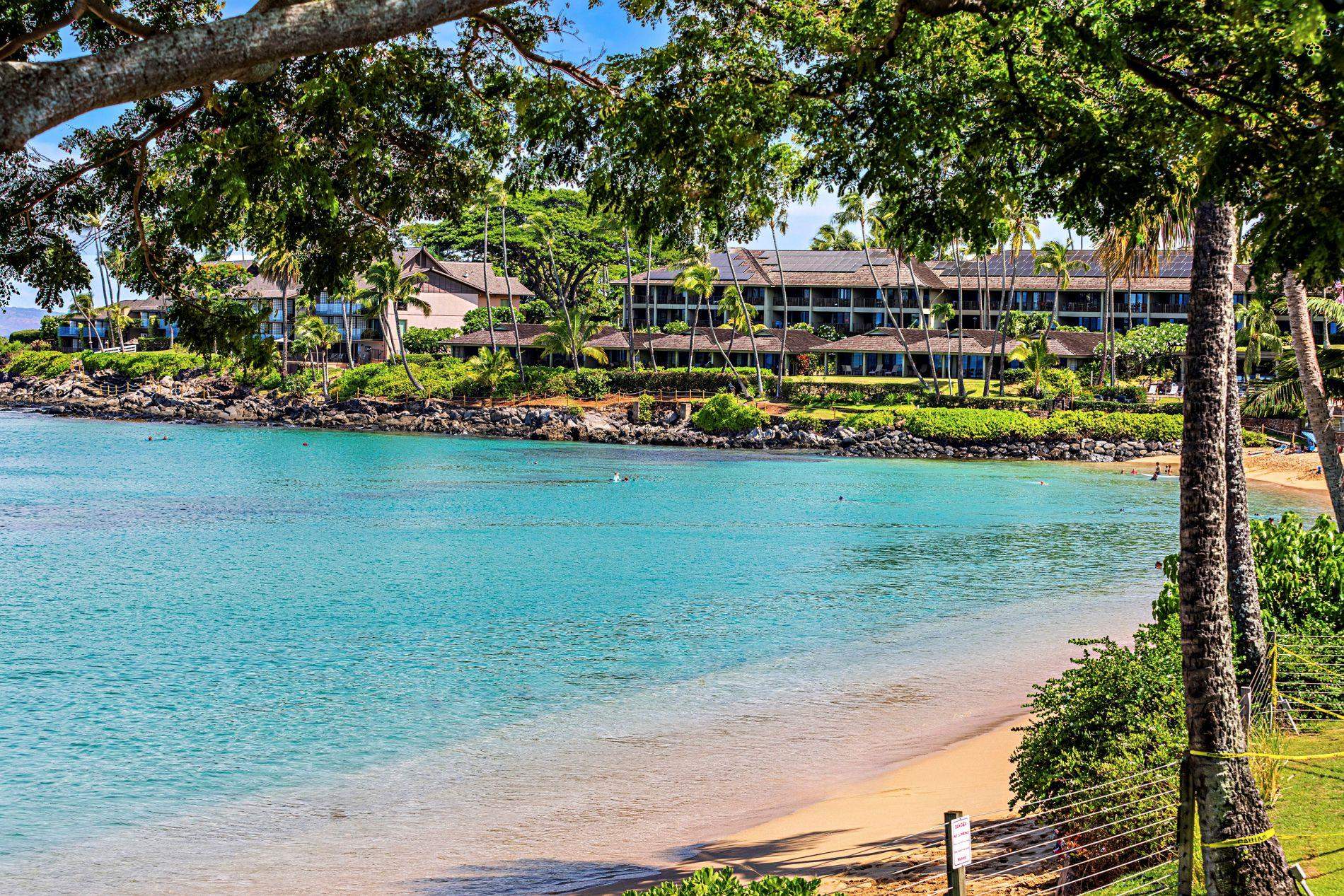 Napili Sunset condo # 215, Lahaina, Hawaii - photo 27 of 32