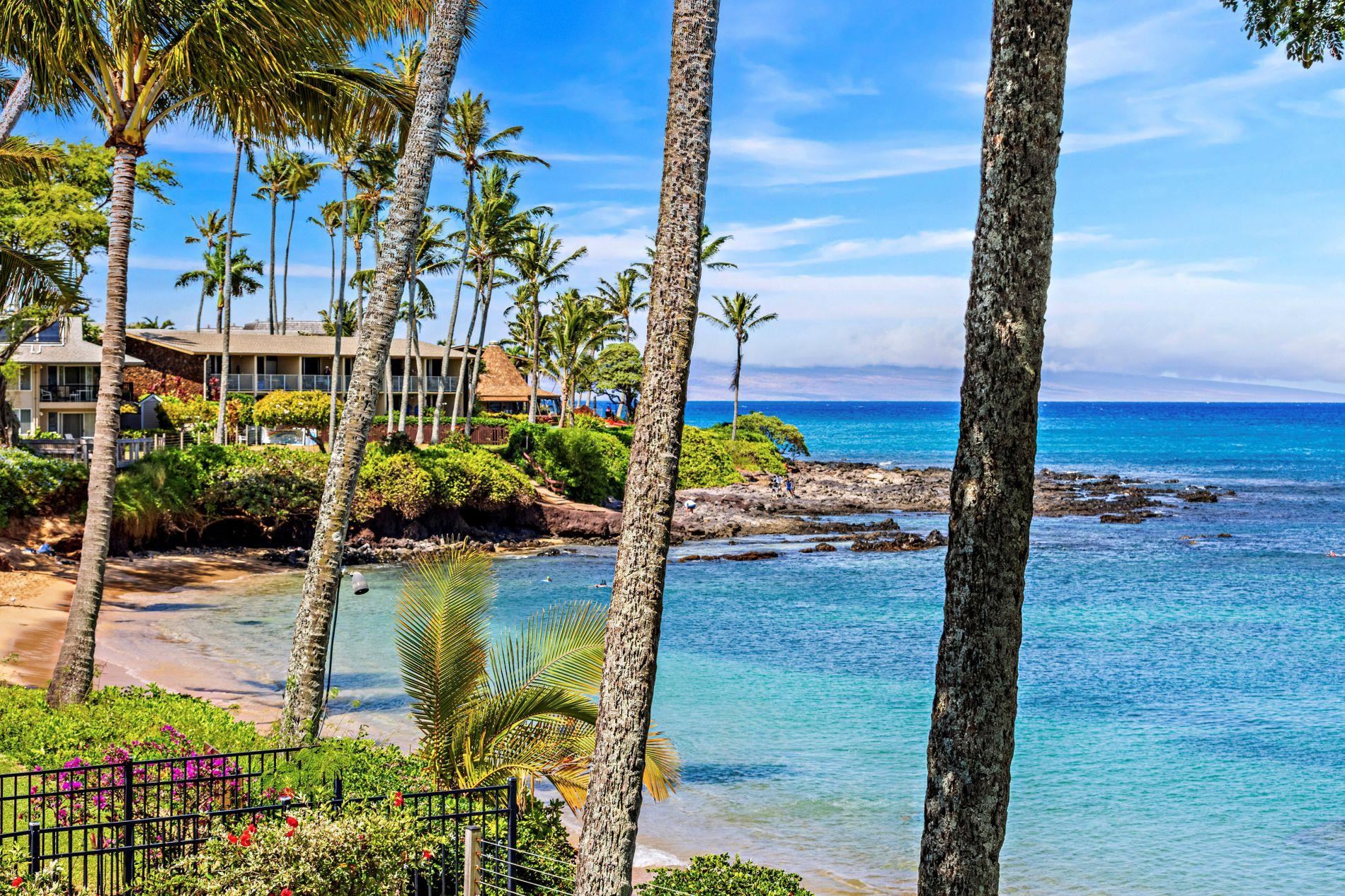 Napili Sunset condo # 215, Lahaina, Hawaii - photo 28 of 32