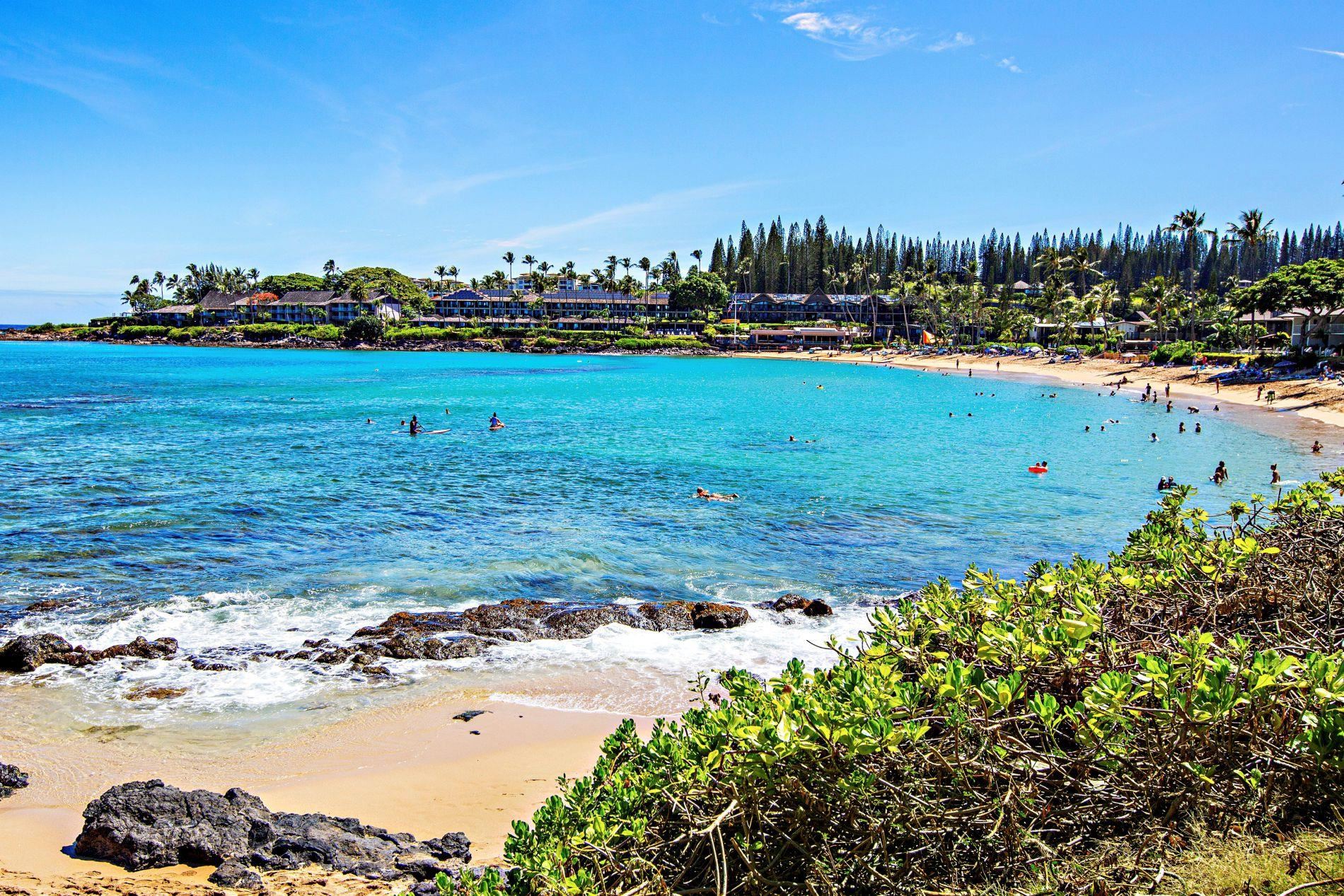 Napili Sunset condo # 215, Lahaina, Hawaii - photo 29 of 32