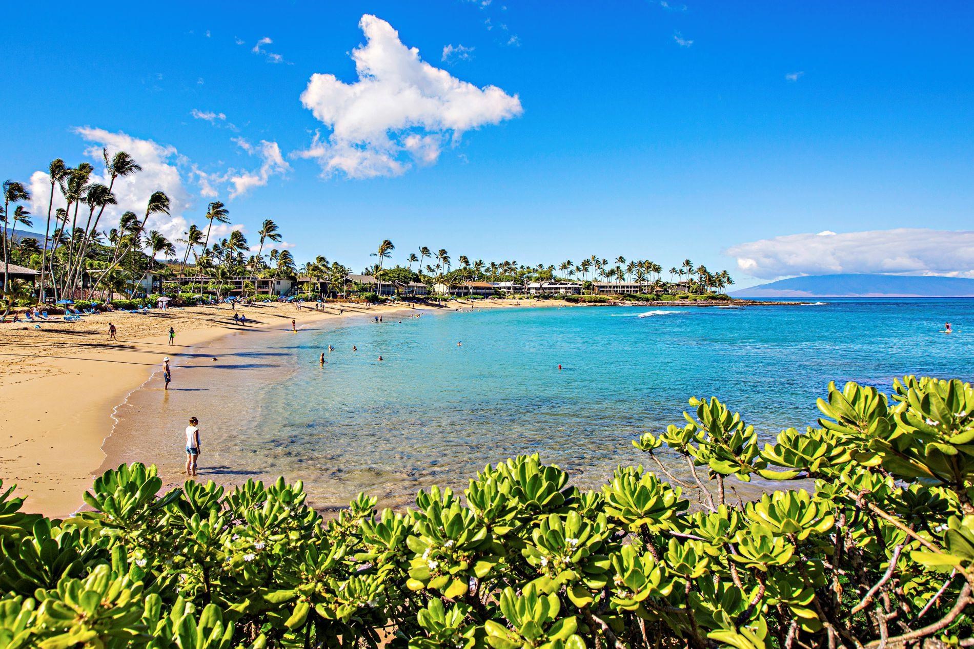 Napili Sunset condo # 215, Lahaina, Hawaii - photo 30 of 32