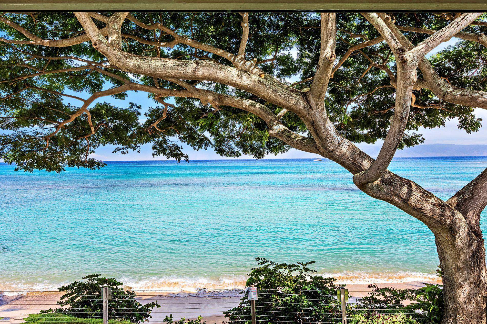 Napili Sunset condo # 215, Lahaina, Hawaii - photo 31 of 32