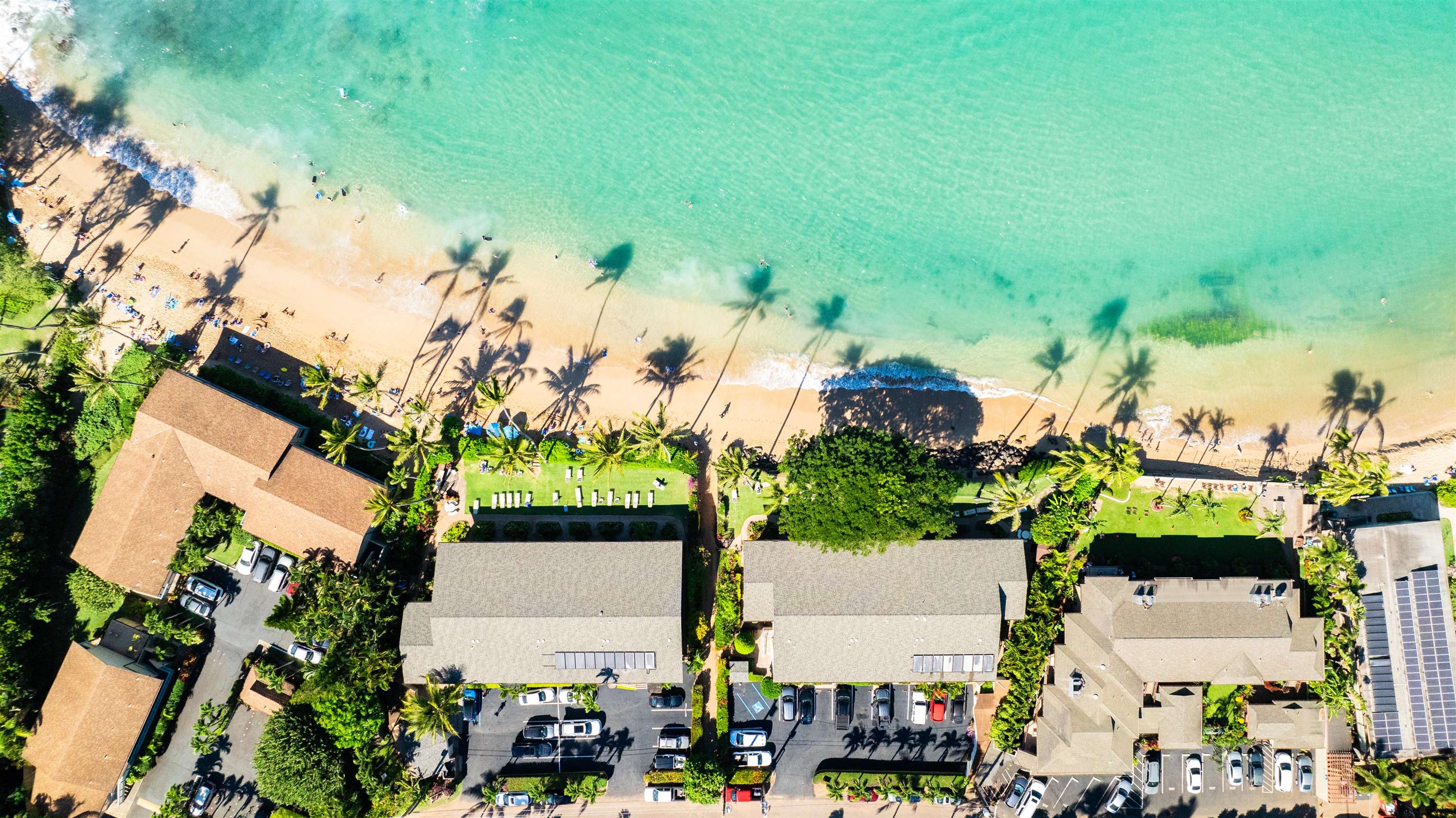 Napili Sunset condo # 215, Lahaina, Hawaii - photo 39 of 41