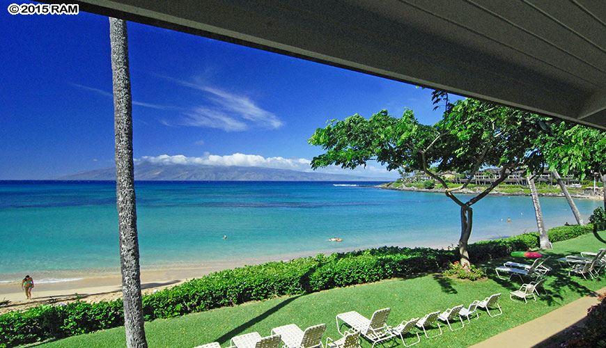 Napili Sunset condo # 216, Lahaina, Hawaii - photo 3 of 30