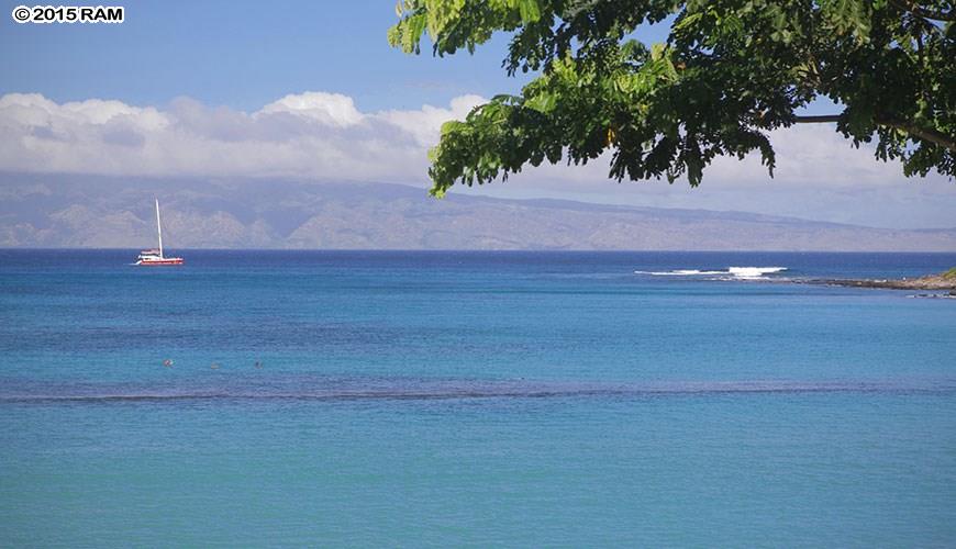 Napili Sunset condo # 216, Lahaina, Hawaii - photo 29 of 30