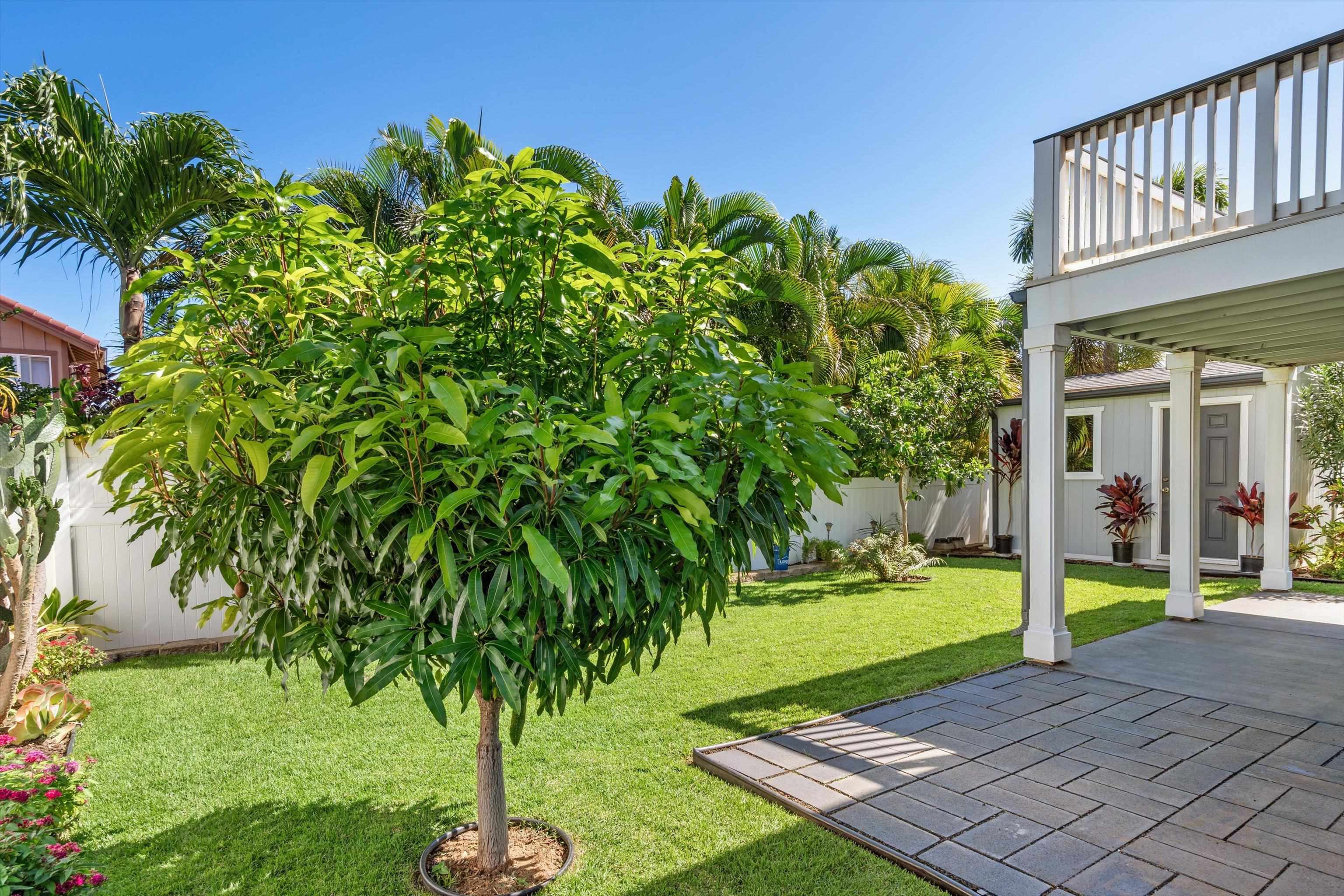 53  Molehulehu Loop Maui Lani, Kahului home - photo 35 of 47