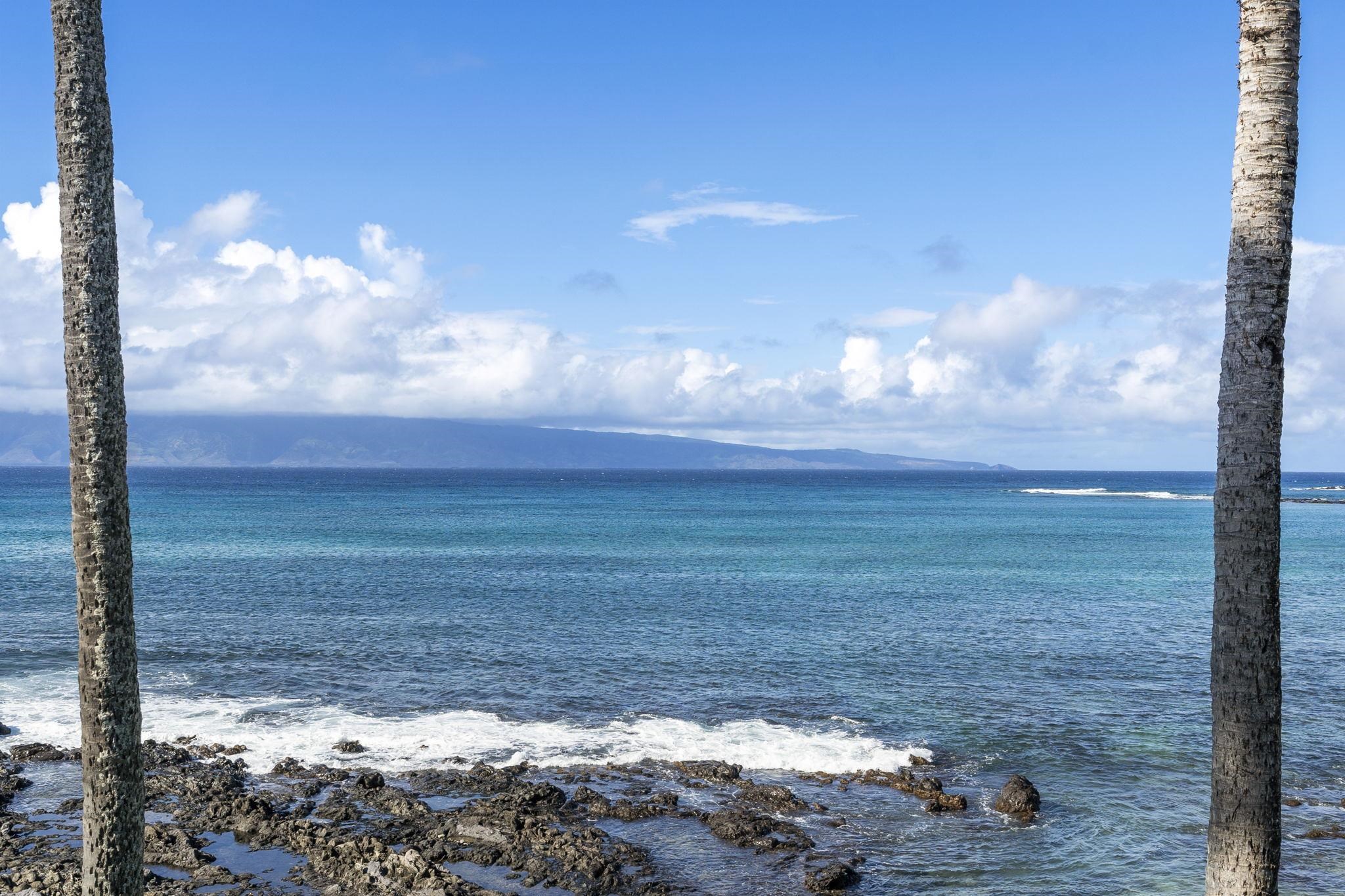 Napili Shores condo # A202, Lahaina, Hawaii - photo 28 of 30