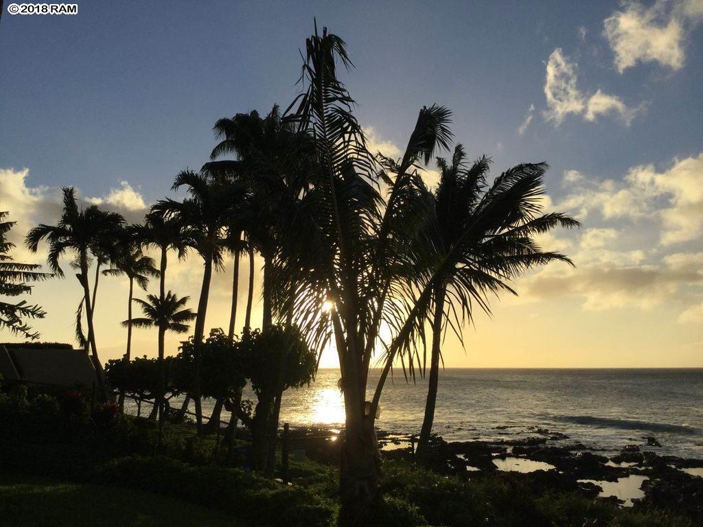 Napili Shores condo # A206, Lahaina, Hawaii - photo 2 of 19