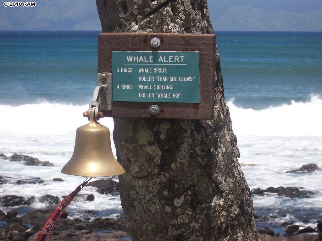 Napili Shores condo # A206, Lahaina, Hawaii - photo 18 of 19