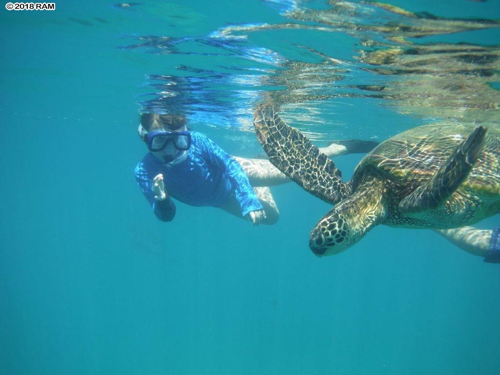 Napili Shores condo # A206, Lahaina, Hawaii - photo 19 of 19