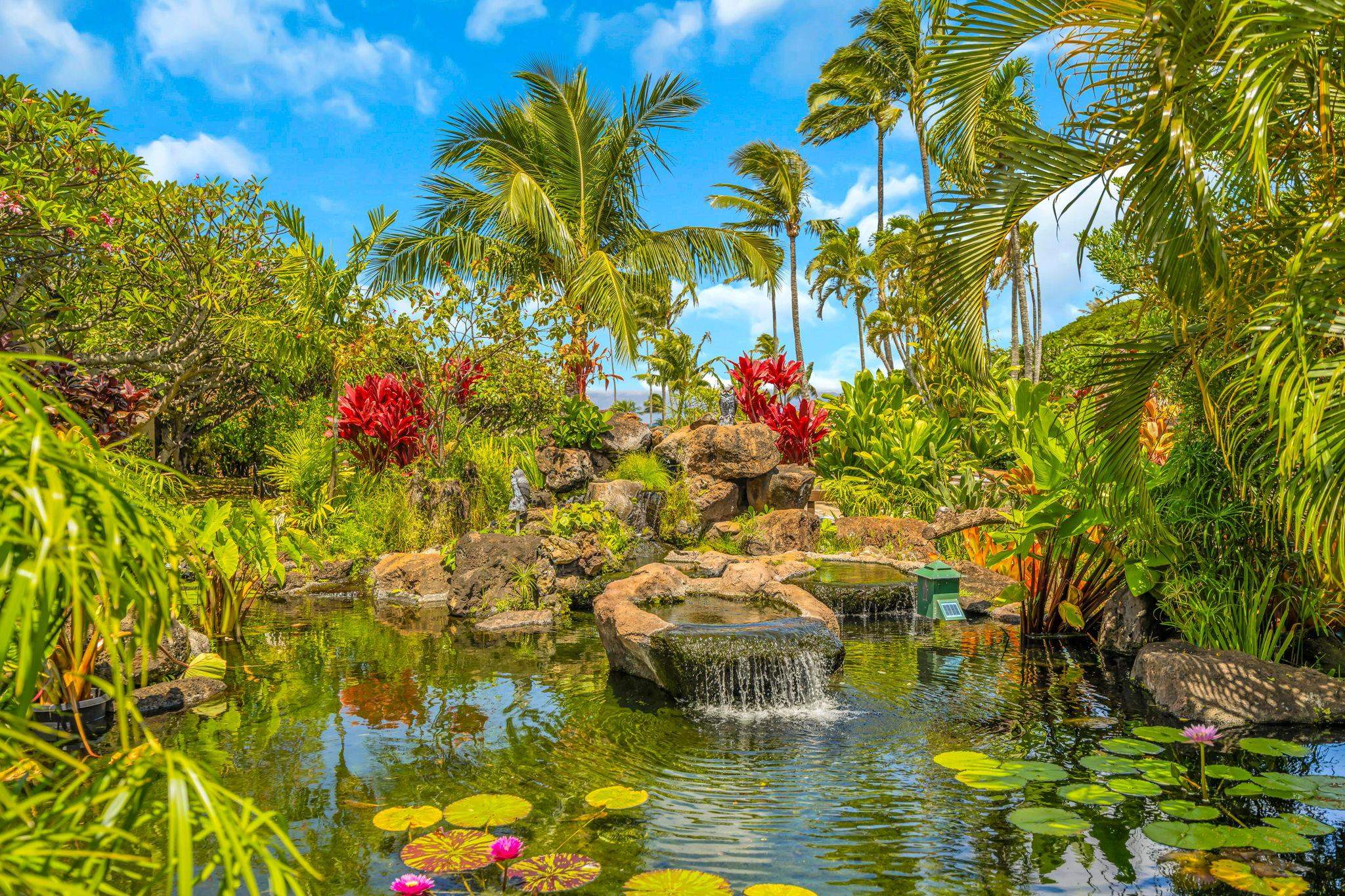 Napili Shores condo # B108, Lahaina, Hawaii - photo 28 of 39