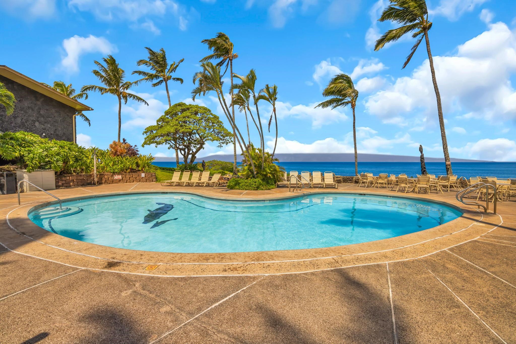 Napili Shores condo # B108, Lahaina, Hawaii - photo 8 of 39