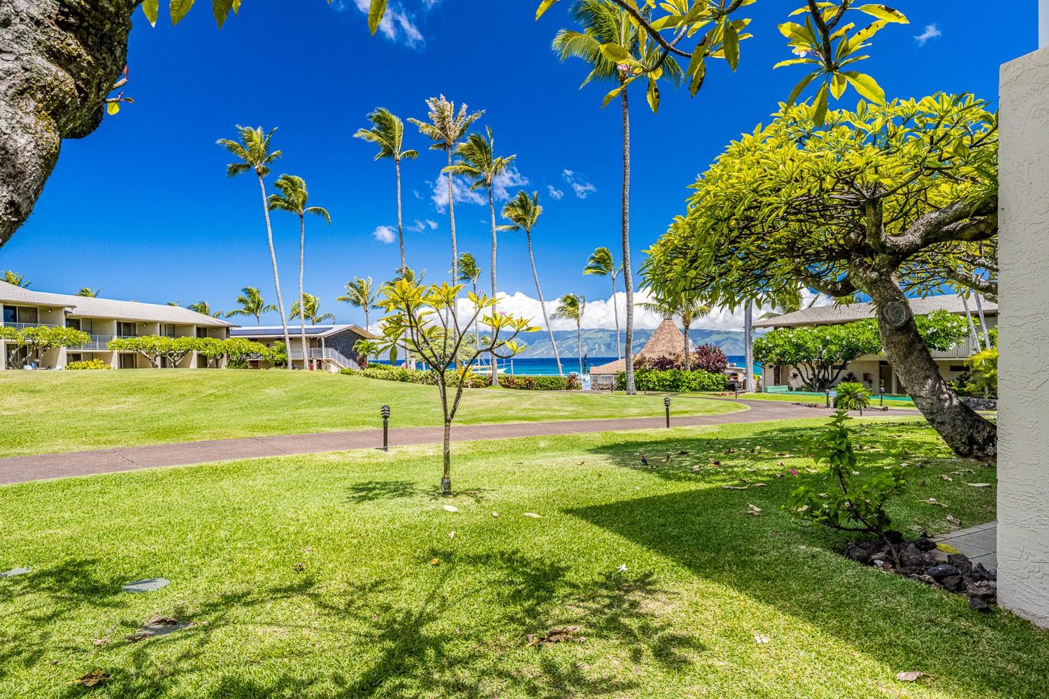 Napili Shores condo # B113, Lahaina, Hawaii - photo 22 of 41
