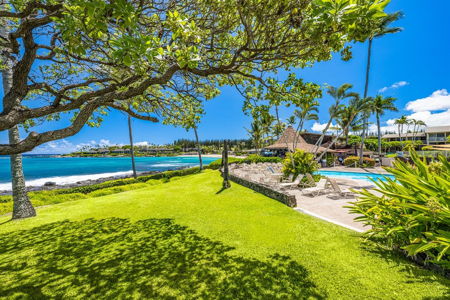 Napili Shores condo # B113, Lahaina, Hawaii - photo 31 of 41