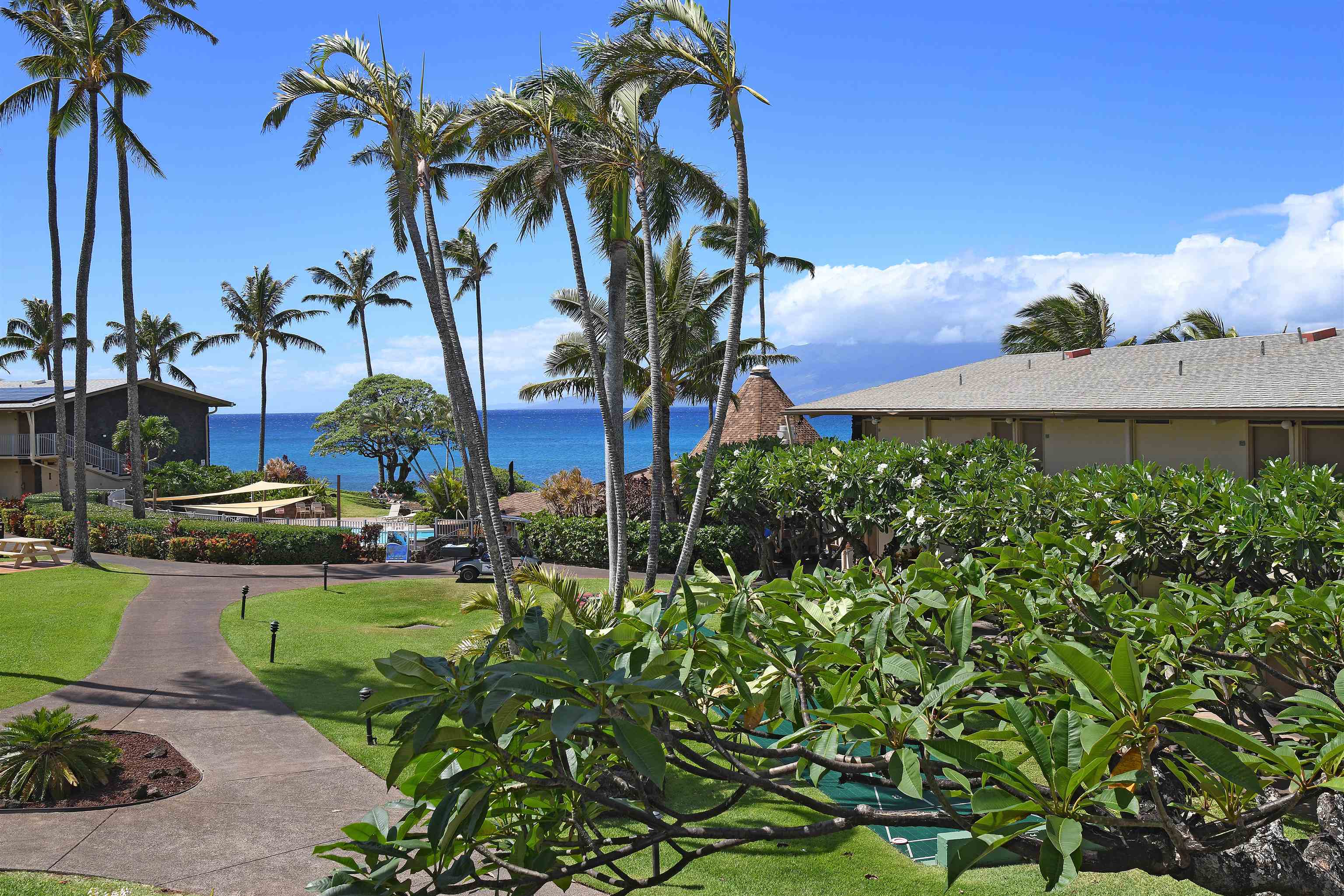 Napili Shores condo # B208, Lahaina, Hawaii - photo 26 of 43