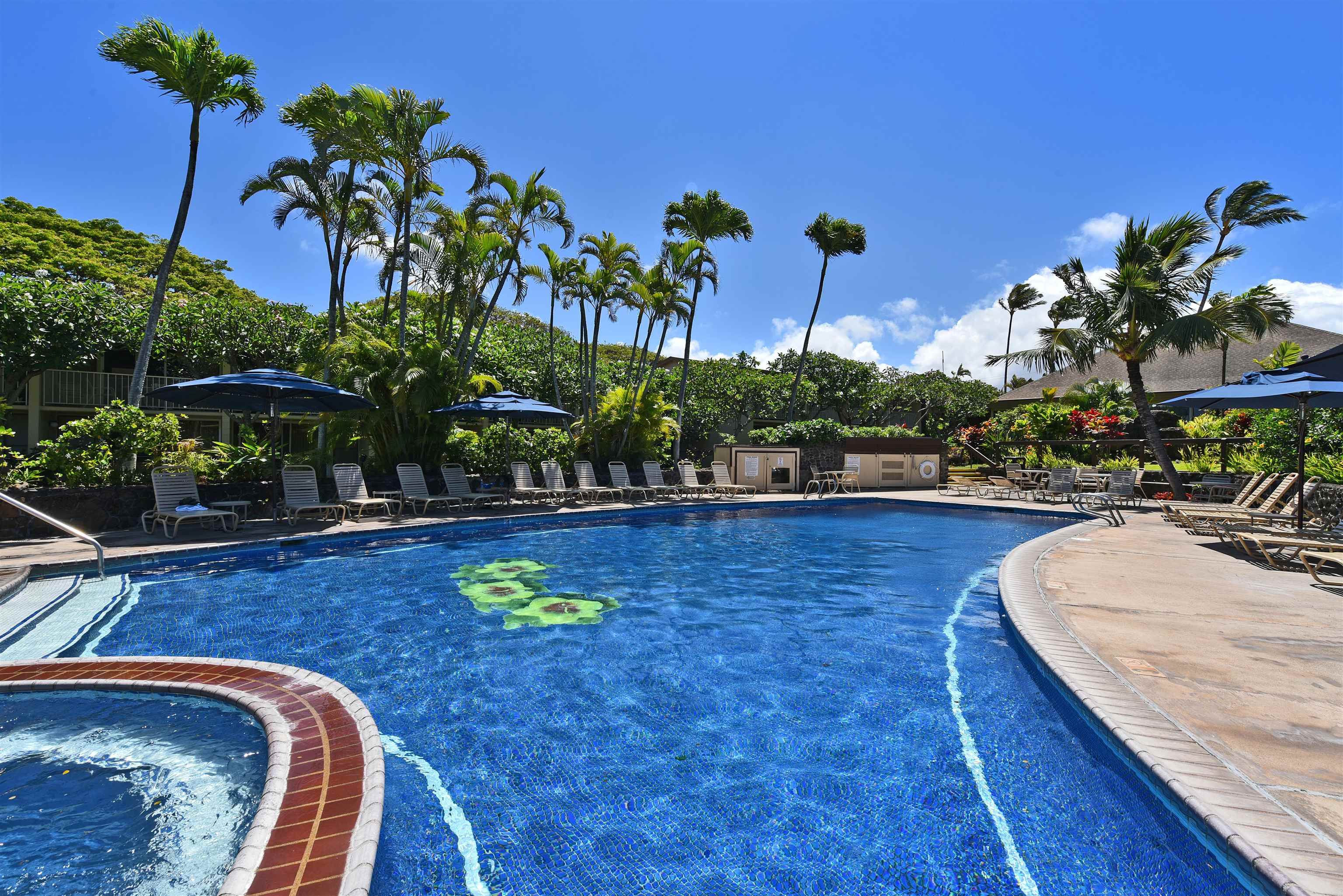 Napili Shores condo # B208, Lahaina, Hawaii - photo 40 of 43
