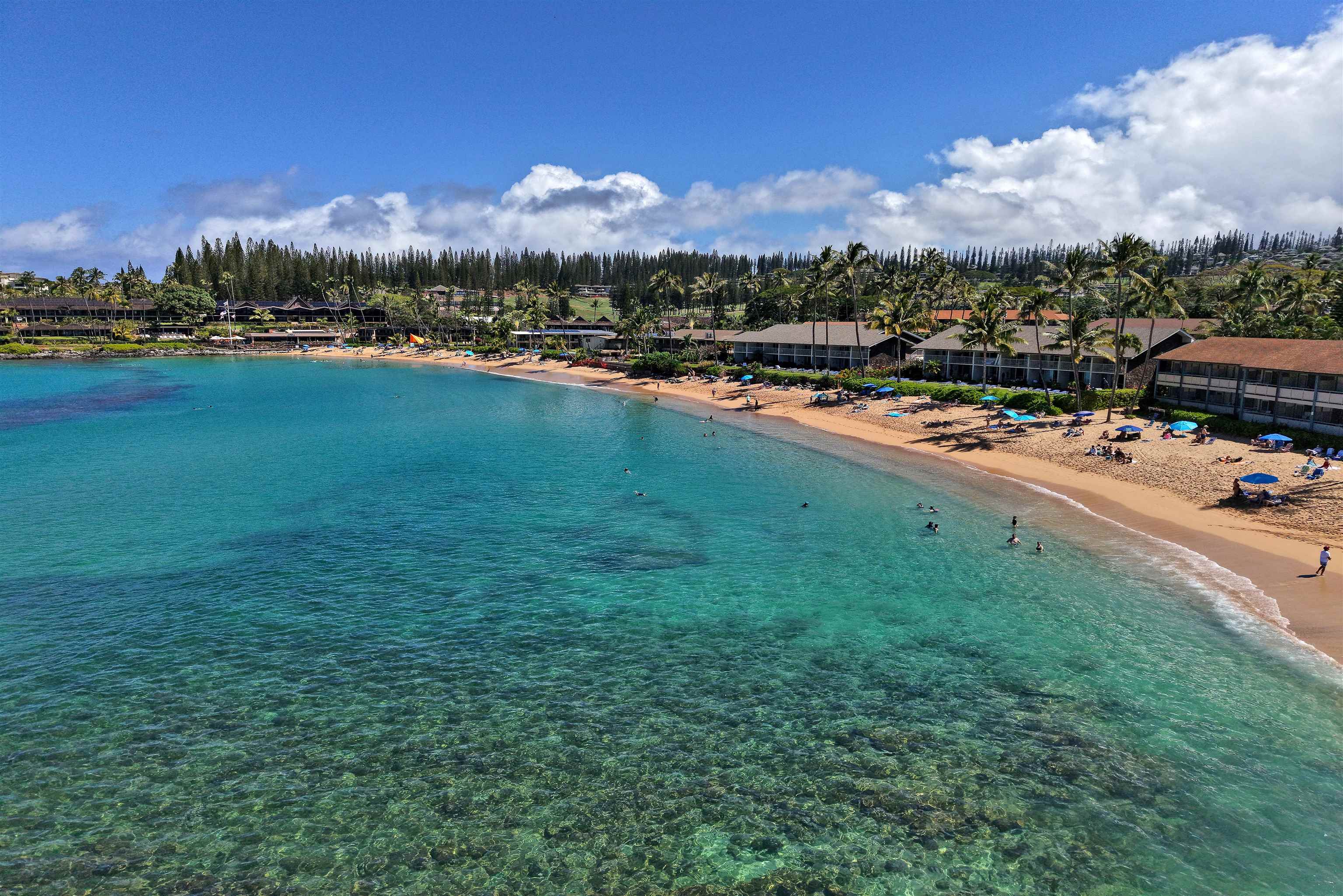 Napili Shores condo # B208, Lahaina, Hawaii - photo 42 of 43