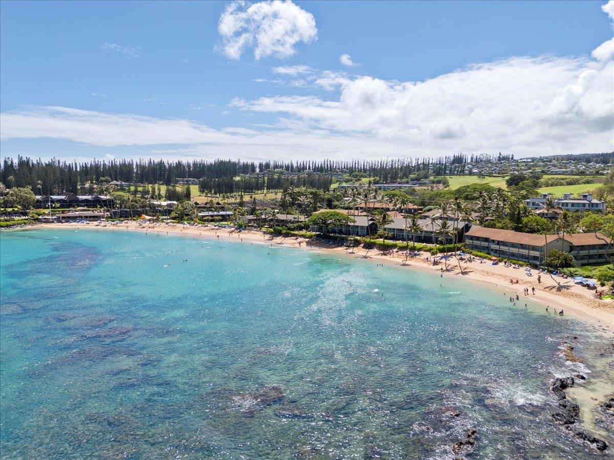 Napili Shores condo # B-211, Lahaina, Hawaii - photo 3 of 50