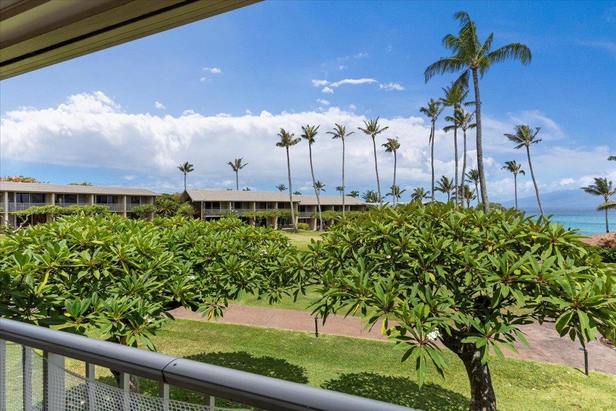 Napili Shores condo # B-211, Lahaina, Hawaii - photo 31 of 50