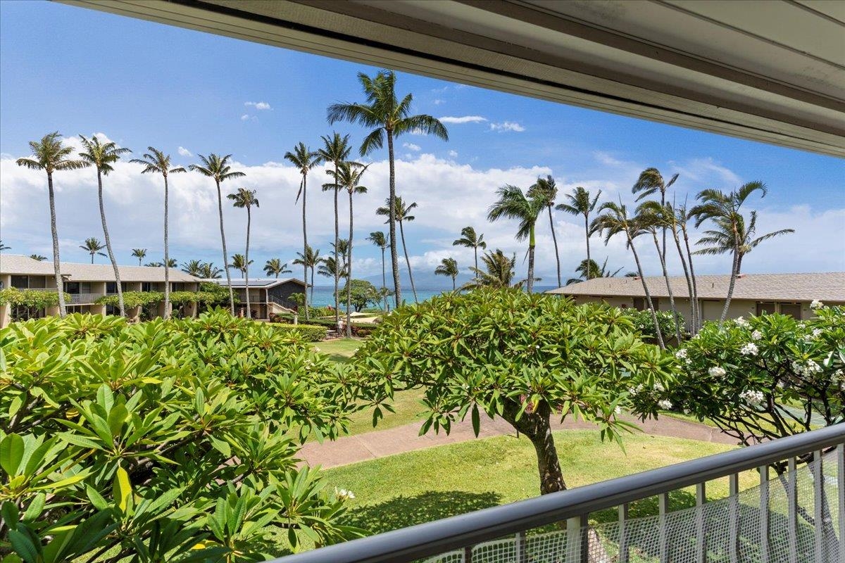 Napili Shores condo # B-211, Lahaina, Hawaii - photo 32 of 50