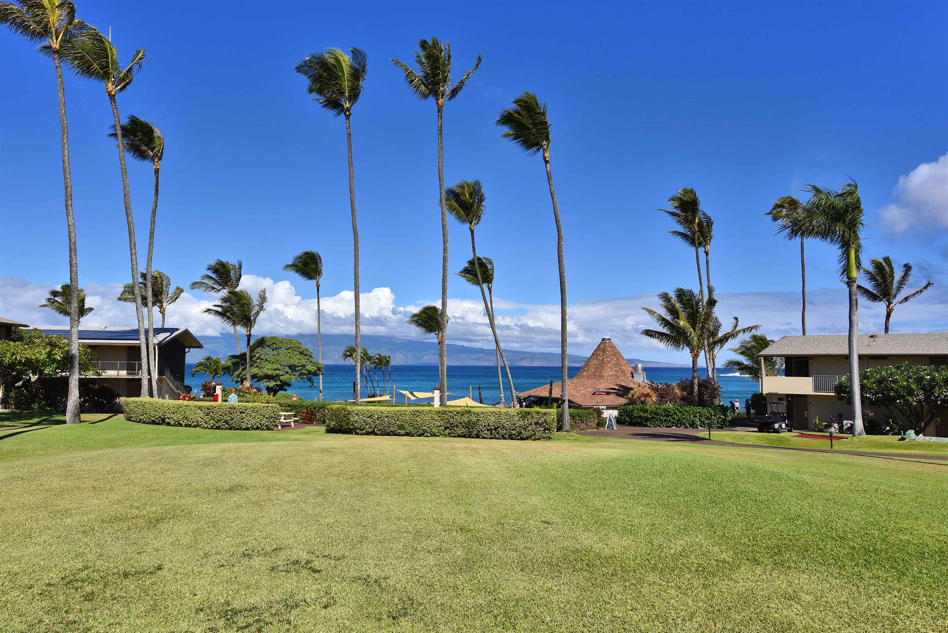 Napili Shores condo # C 115, Lahaina, Hawaii - photo 14 of 41