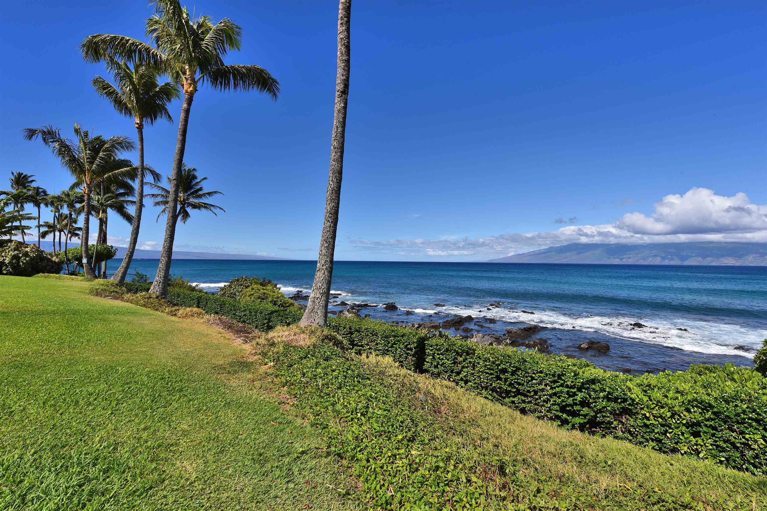 Napili Shores condo # C 115, Lahaina, Hawaii - photo 18 of 41