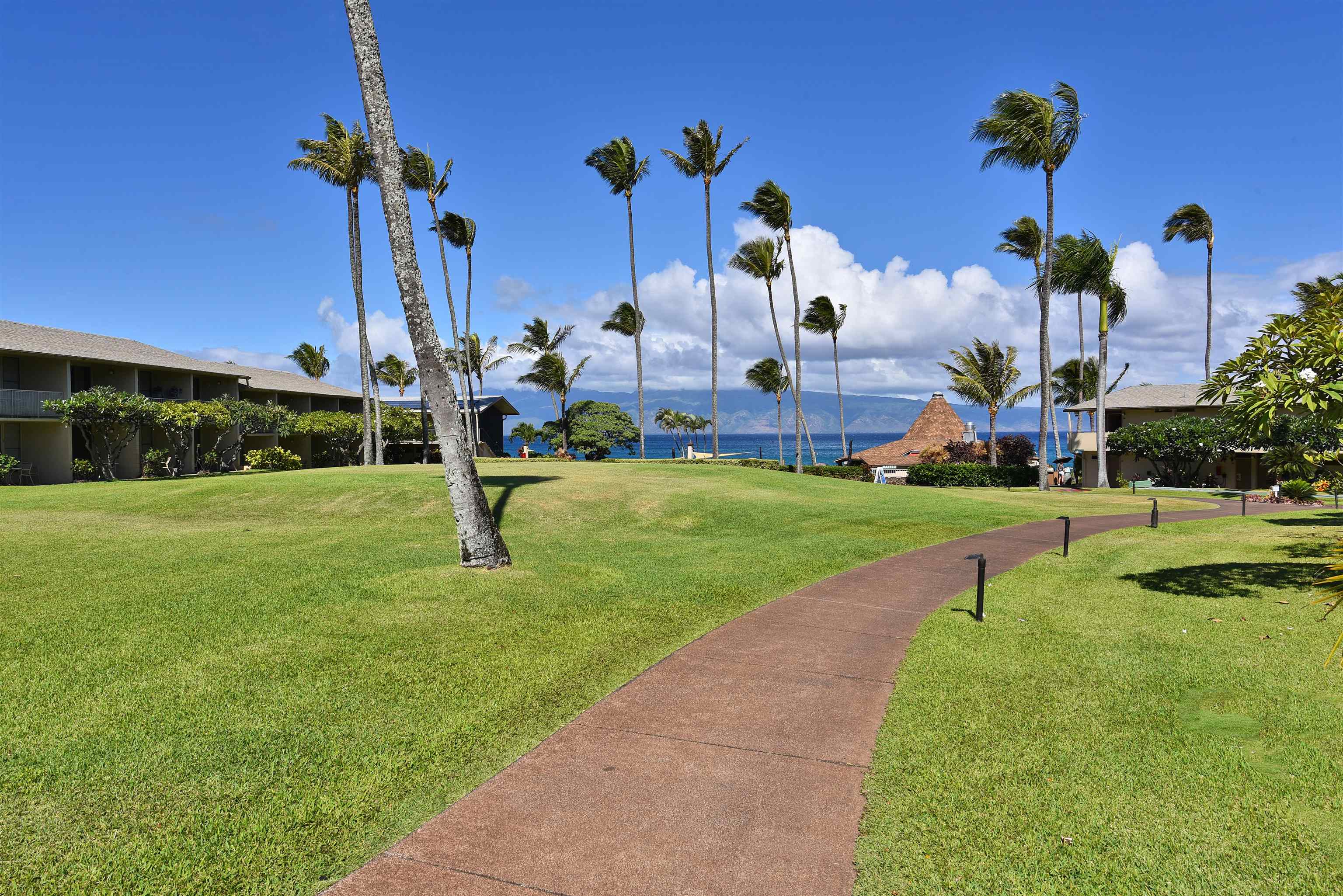 Napili Shores condo # C 115, Lahaina, Hawaii - photo 23 of 41