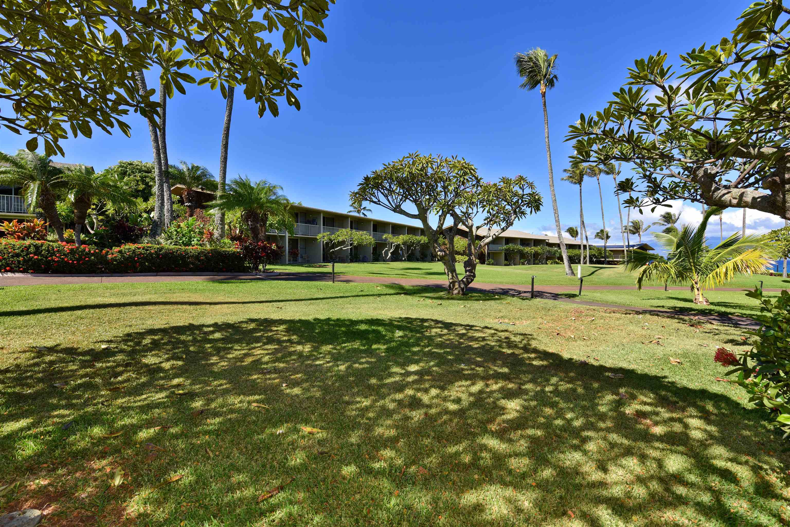 Napili Shores condo # C 115, Lahaina, Hawaii - photo 24 of 41