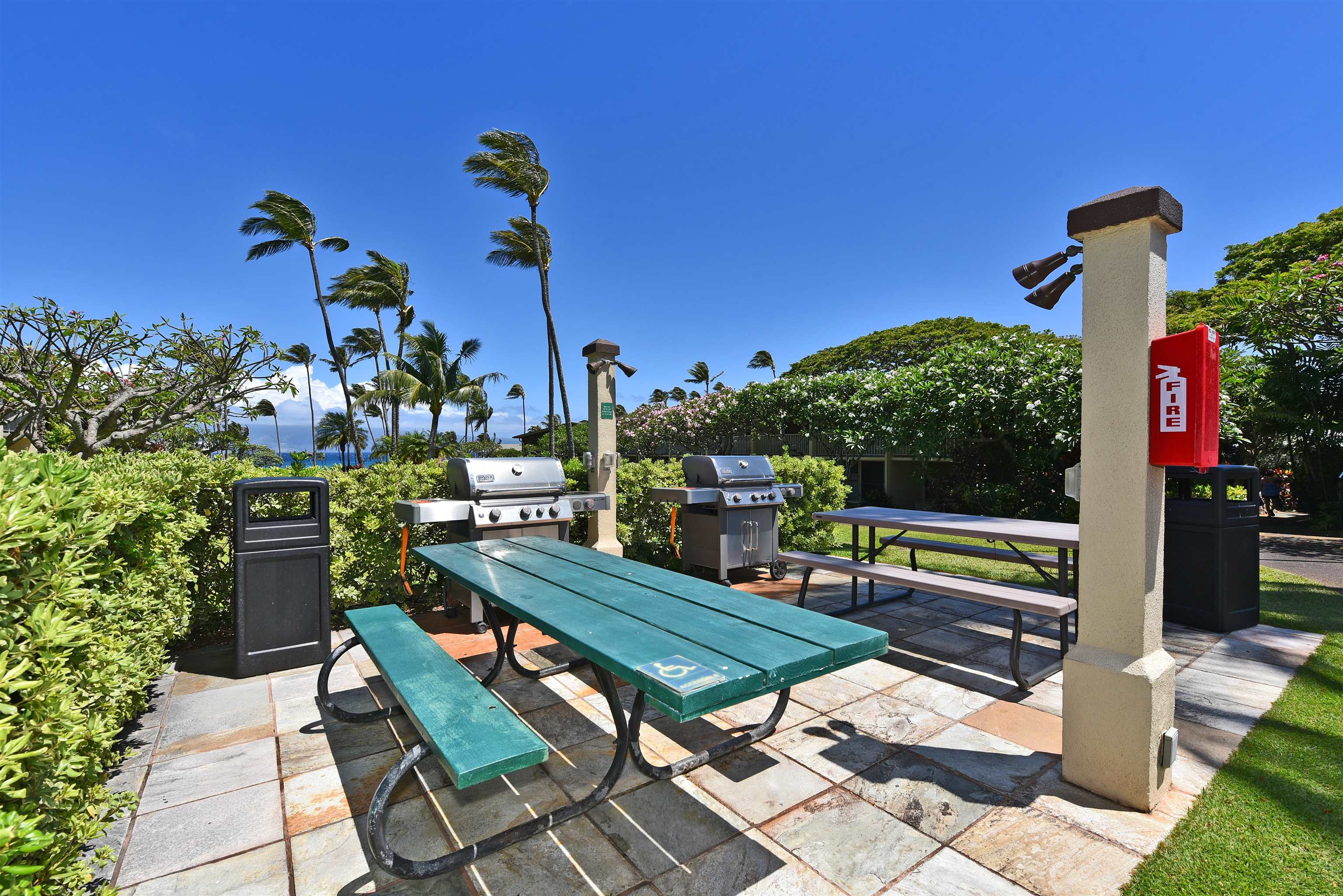 Napili Shores condo # C 115, Lahaina, Hawaii - photo 26 of 41