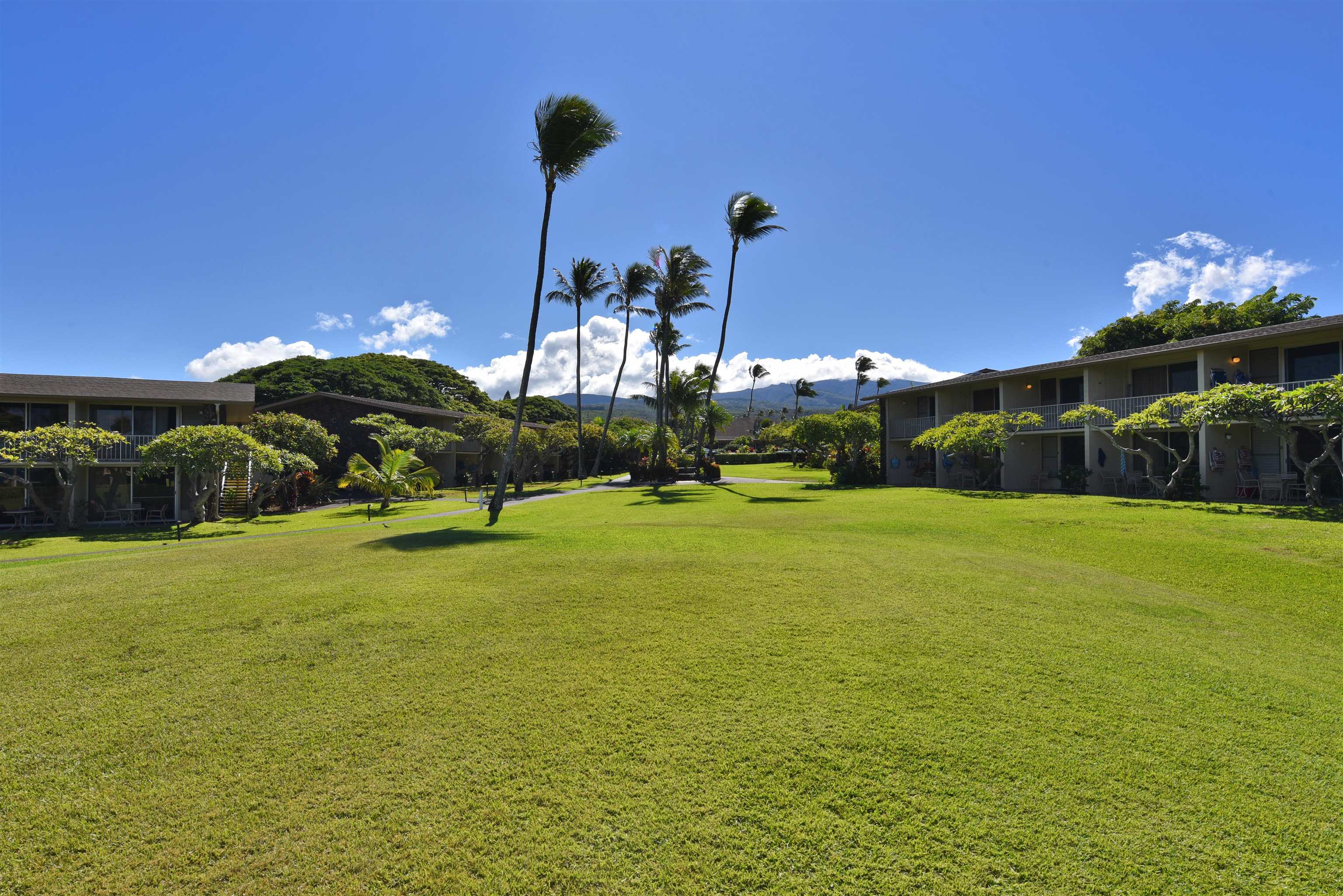 Napili Shores condo # C 115, Lahaina, Hawaii - photo 30 of 41