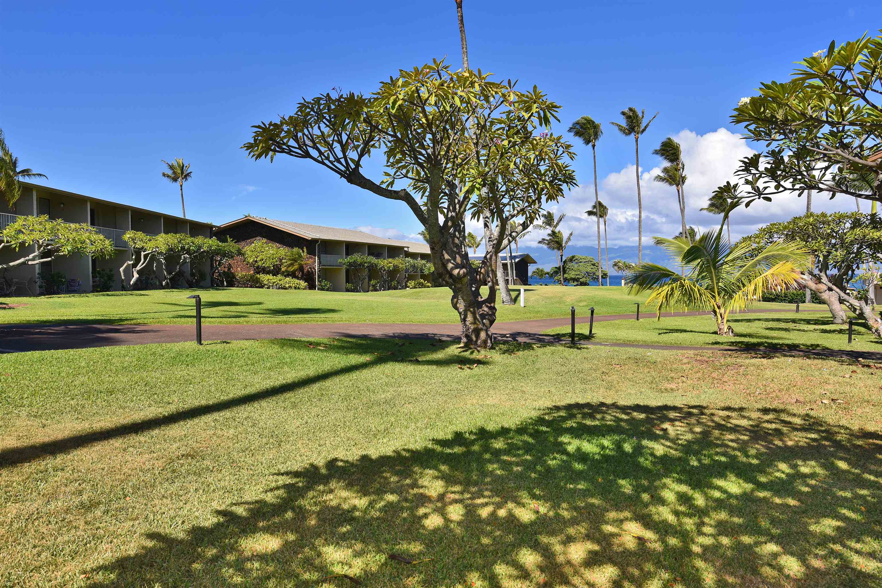 Napili Shores condo # C 115, Lahaina, Hawaii - photo 33 of 41