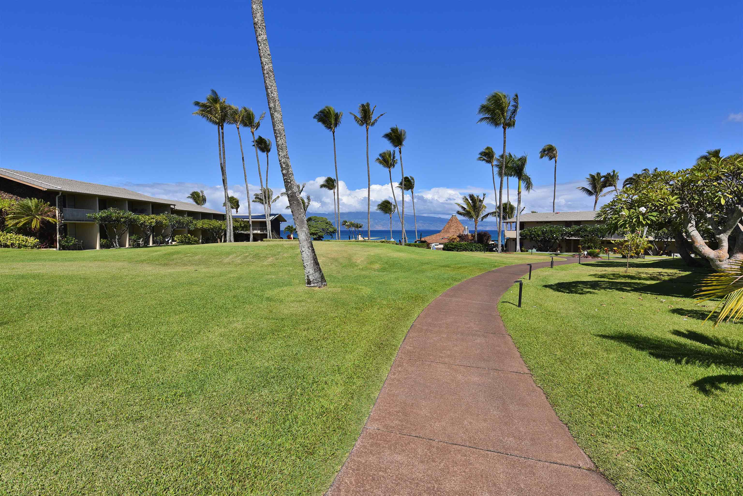 Napili Shores condo # C 115, Lahaina, Hawaii - photo 34 of 41