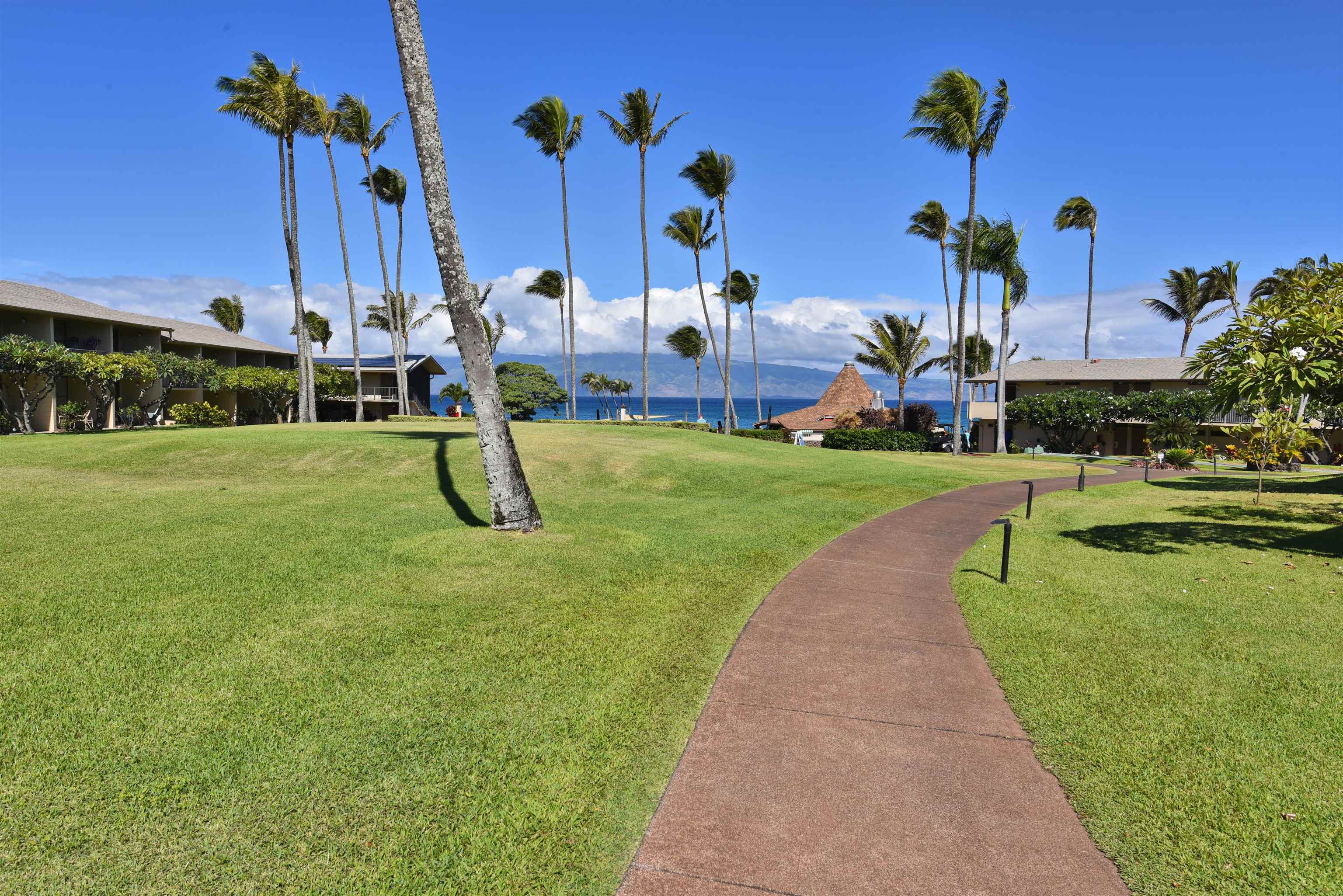 Napili Shores condo # C 115, Lahaina, Hawaii - photo 35 of 41