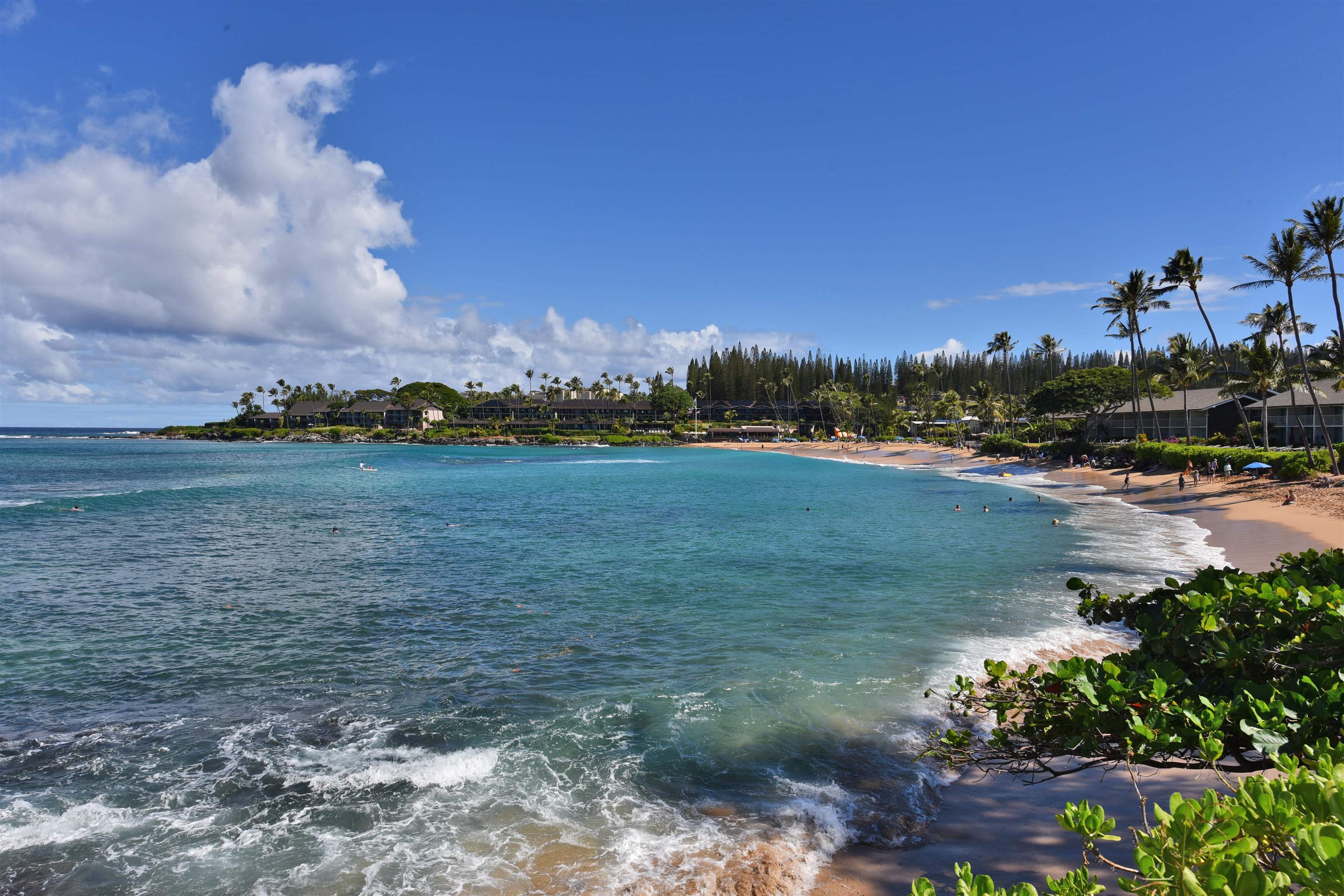 Napili Shores condo # C 115, Lahaina, Hawaii - photo 38 of 41