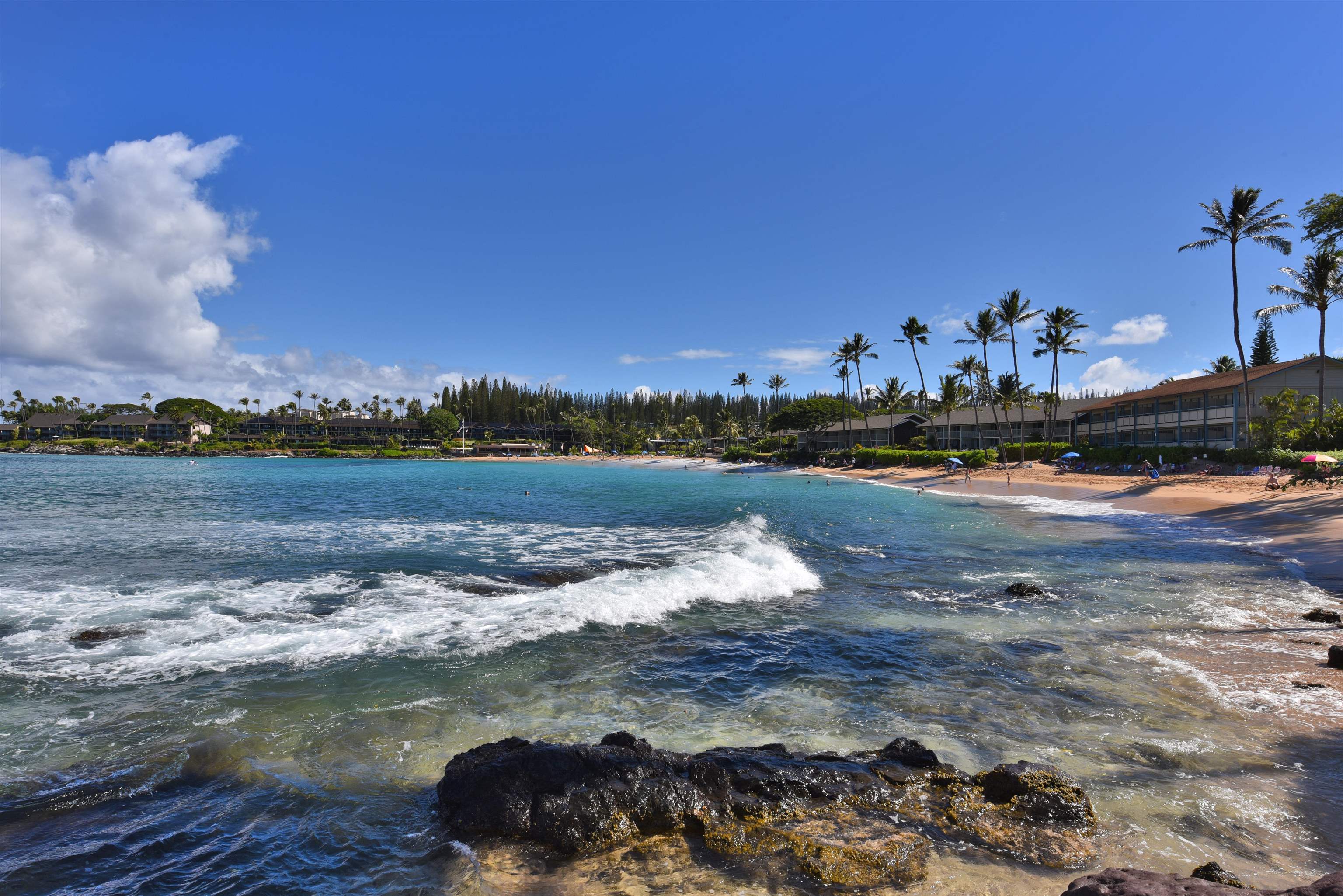 Napili Shores condo # C 115, Lahaina, Hawaii - photo 40 of 41