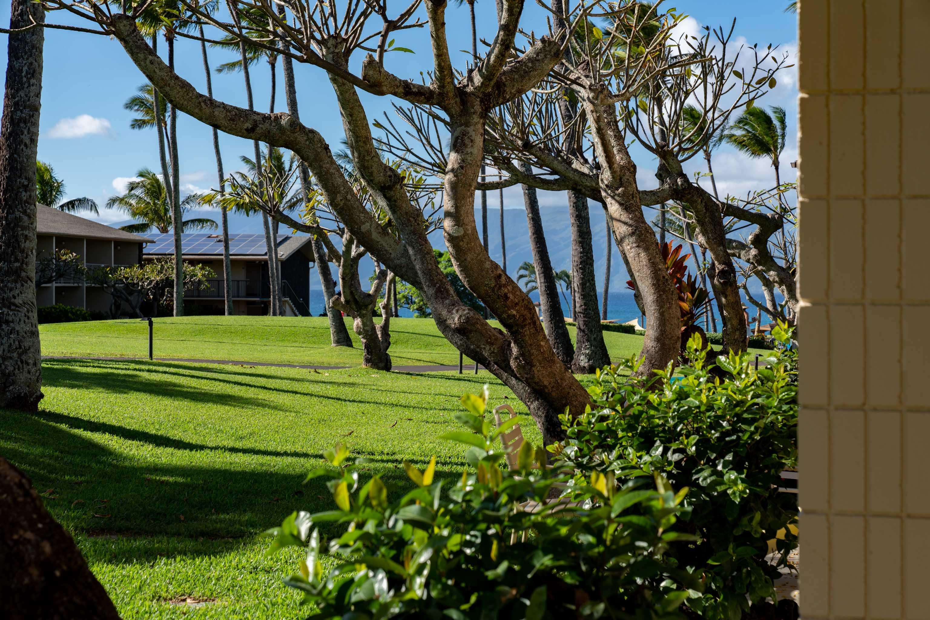 Napili Shores condo # C120, Lahaina, Hawaii - photo 17 of 29