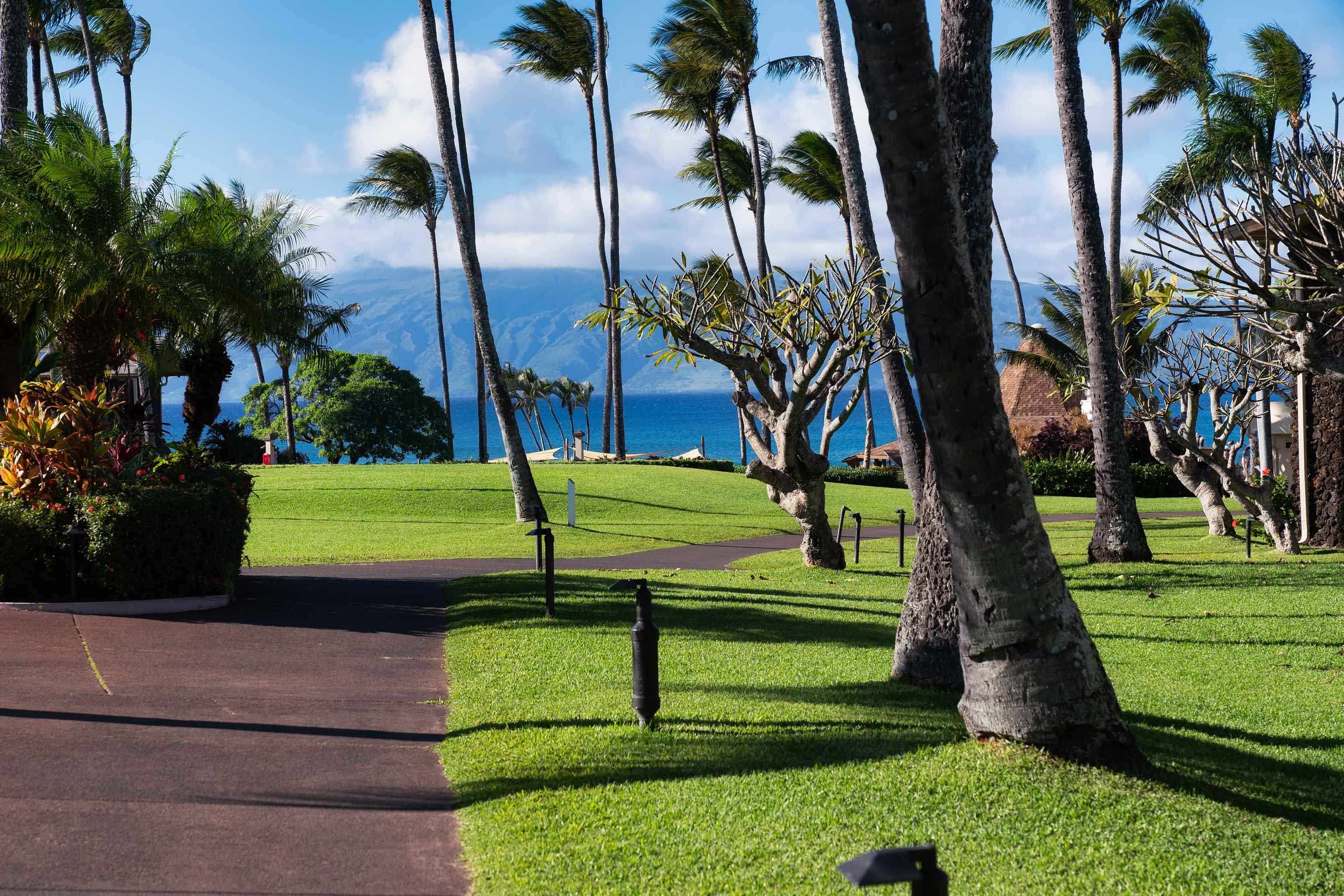 Napili Shores condo # C120, Lahaina, Hawaii - photo 18 of 29