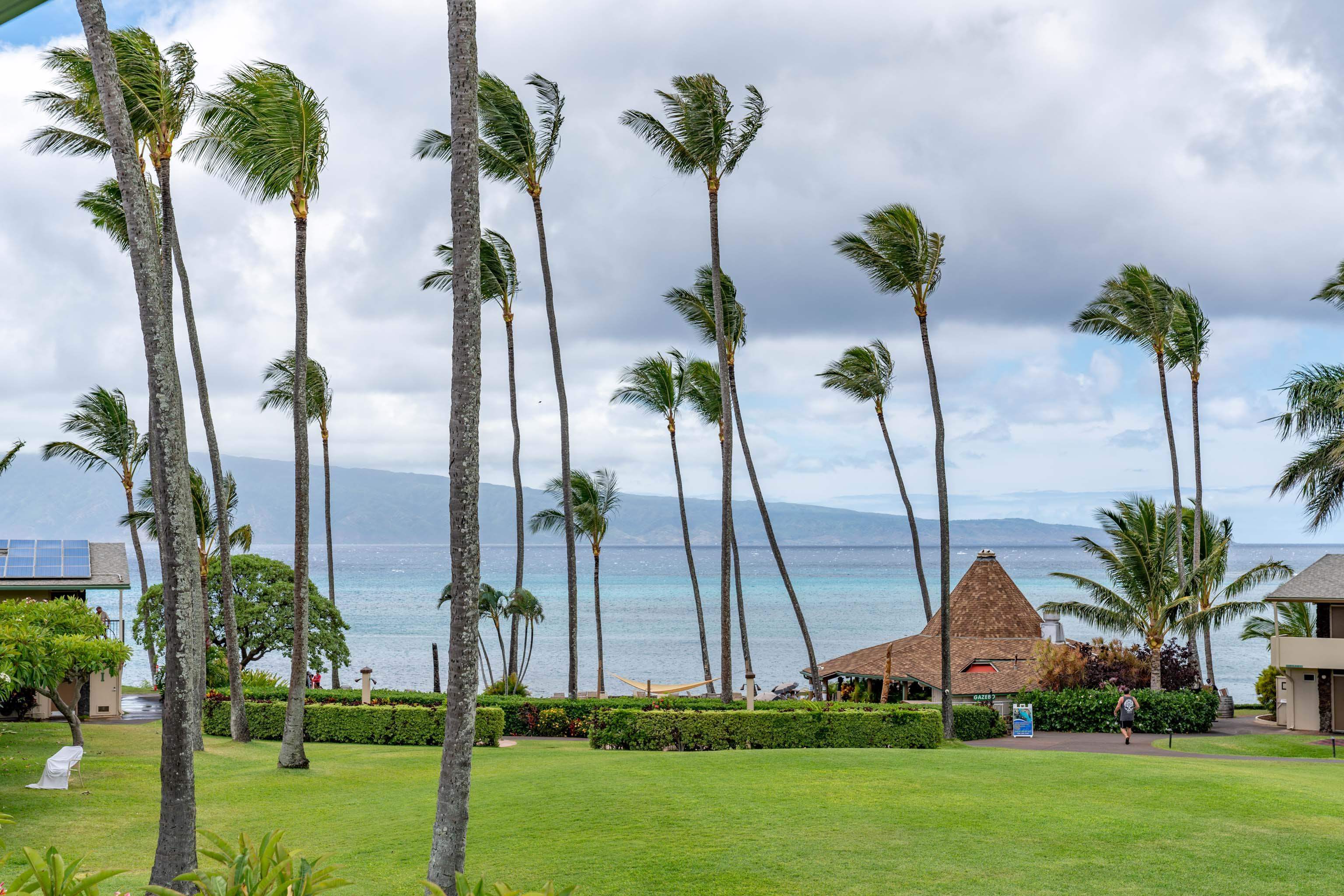 Napili Shores condo # C120, Lahaina, Hawaii - photo 19 of 29