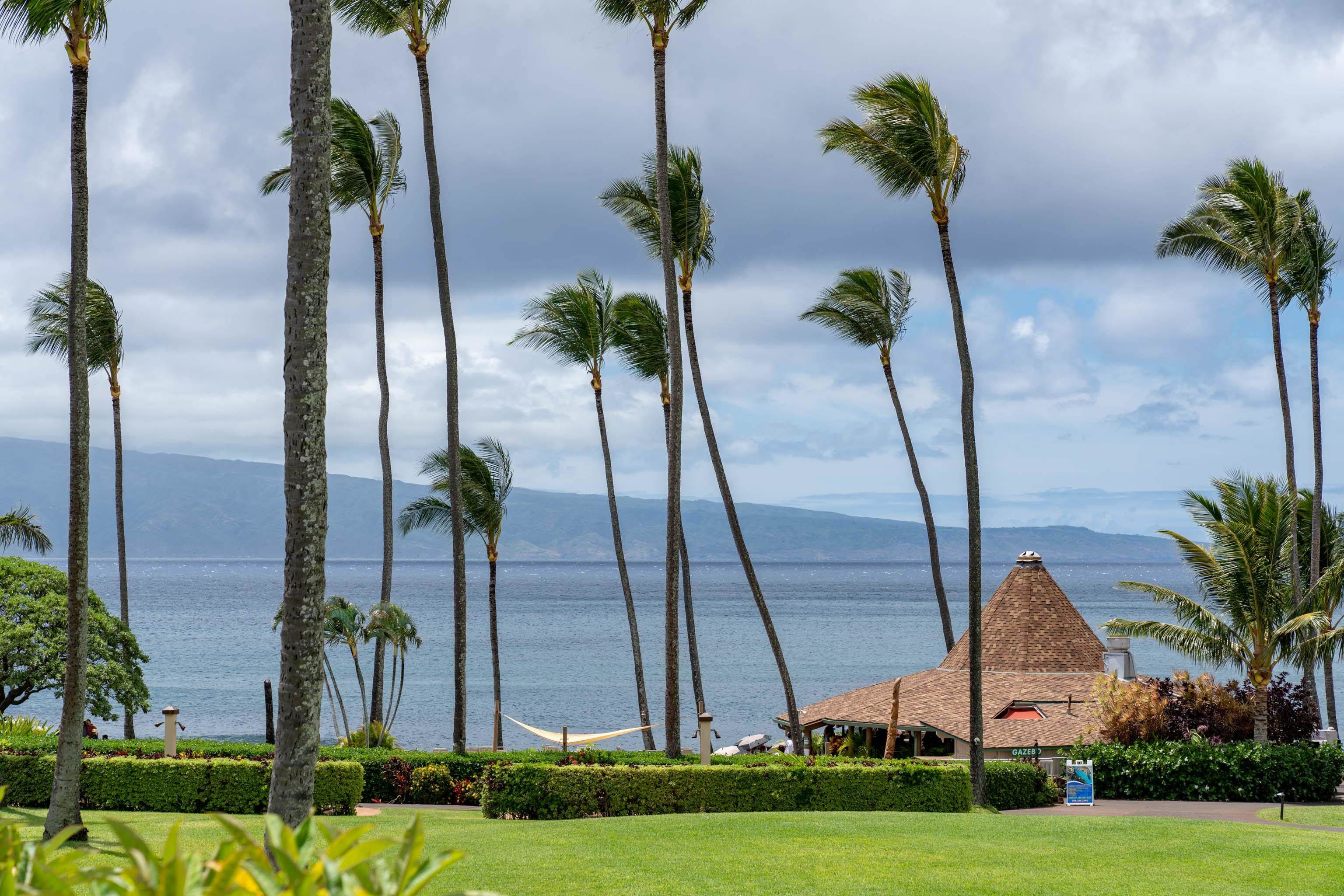 Napili Shores condo # C120, Lahaina, Hawaii - photo 20 of 29