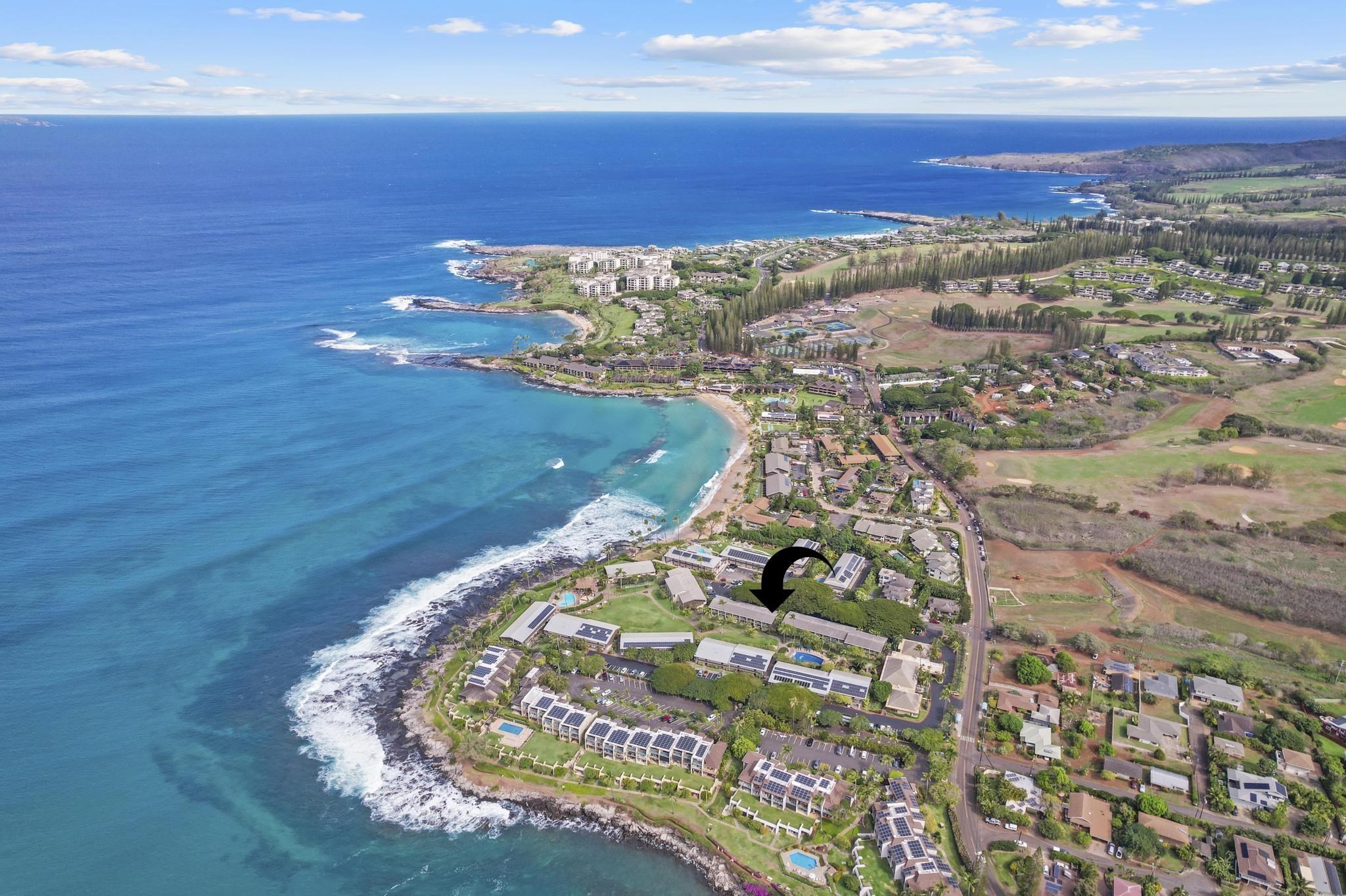 Napili Shores condo # C122, Lahaina, Hawaii - photo 24 of 39