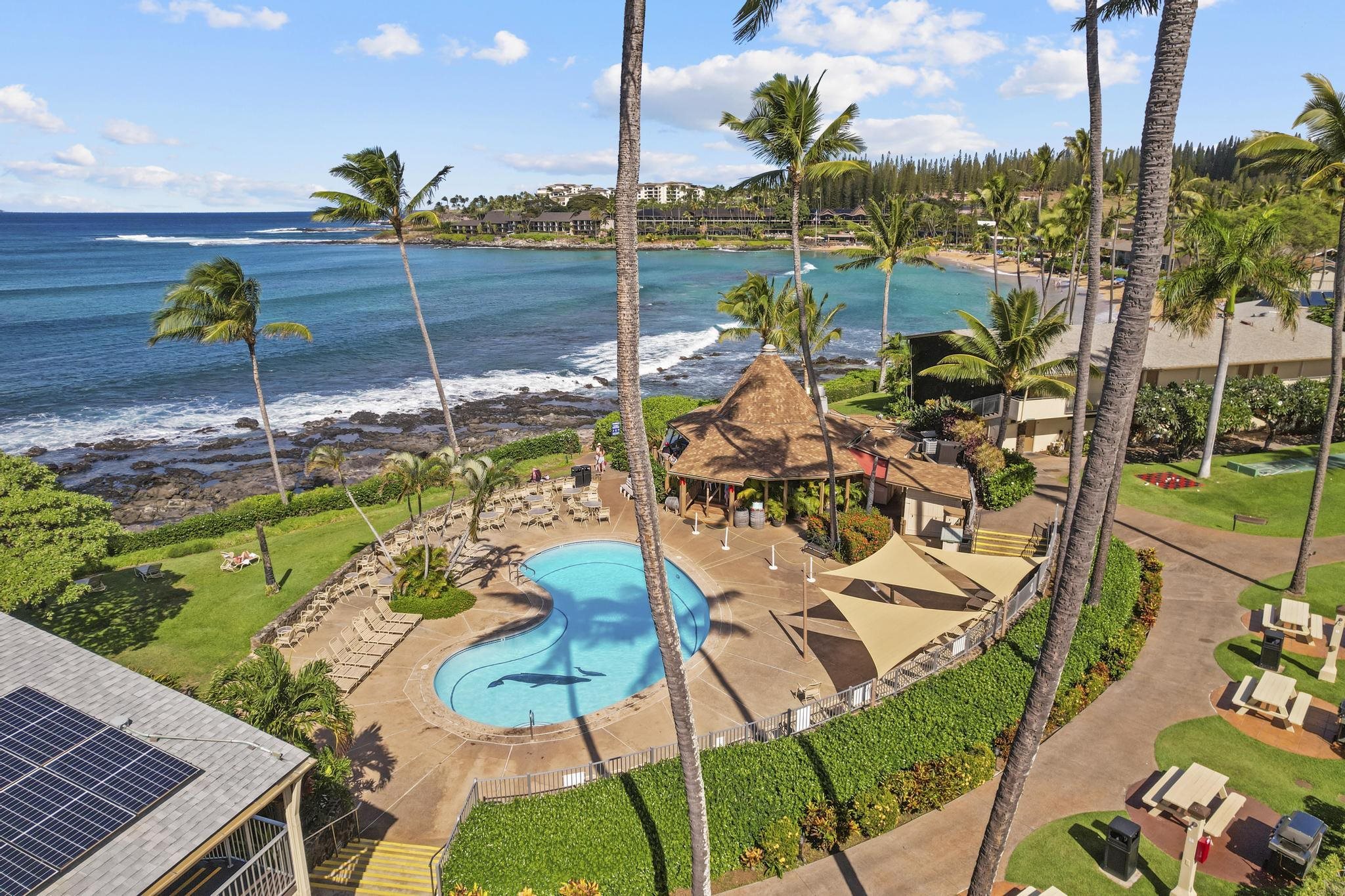 Napili Shores condo # C122, Lahaina, Hawaii - photo 26 of 39