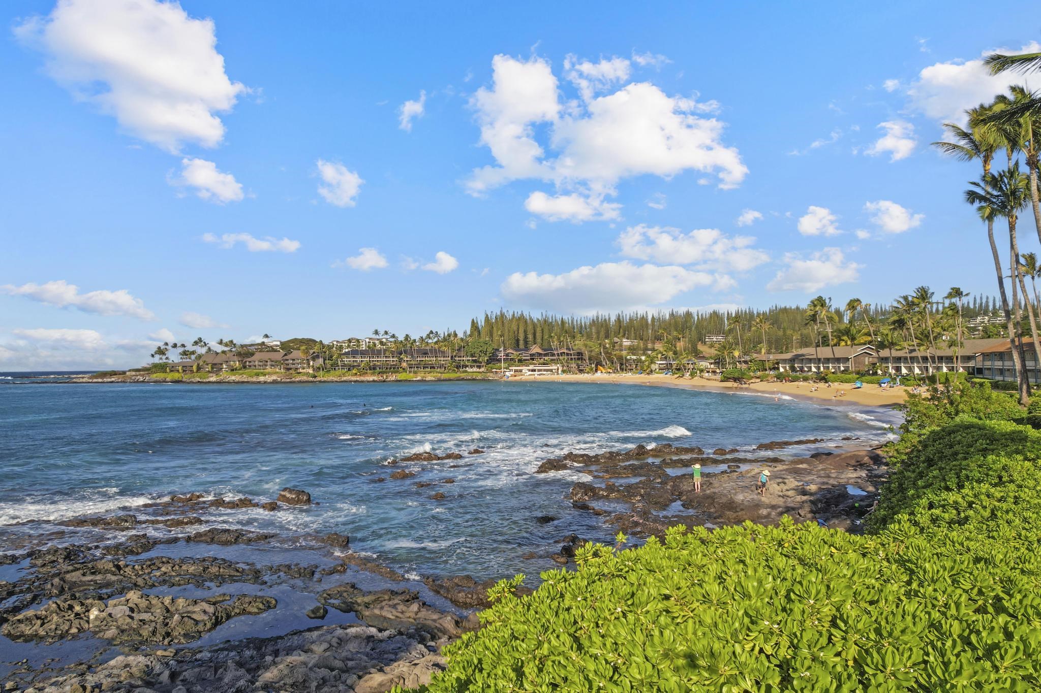 Napili Shores condo # C122, Lahaina, Hawaii - photo 37 of 39