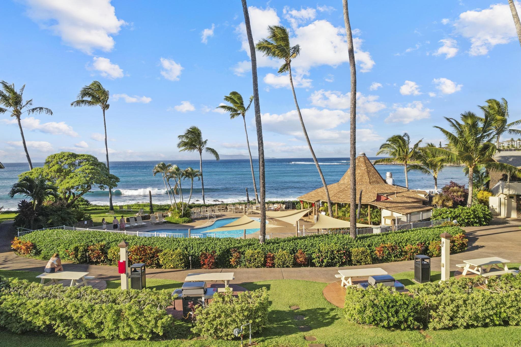 Napili Shores condo # C122, Lahaina, Hawaii - photo 32 of 39