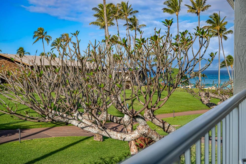Napili Shores condo # C217, Lahaina, Hawaii - photo 26 of 26