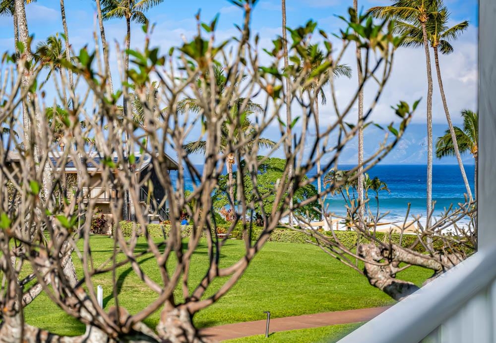 Napili Shores condo # C217, Lahaina, Hawaii - photo 6 of 26