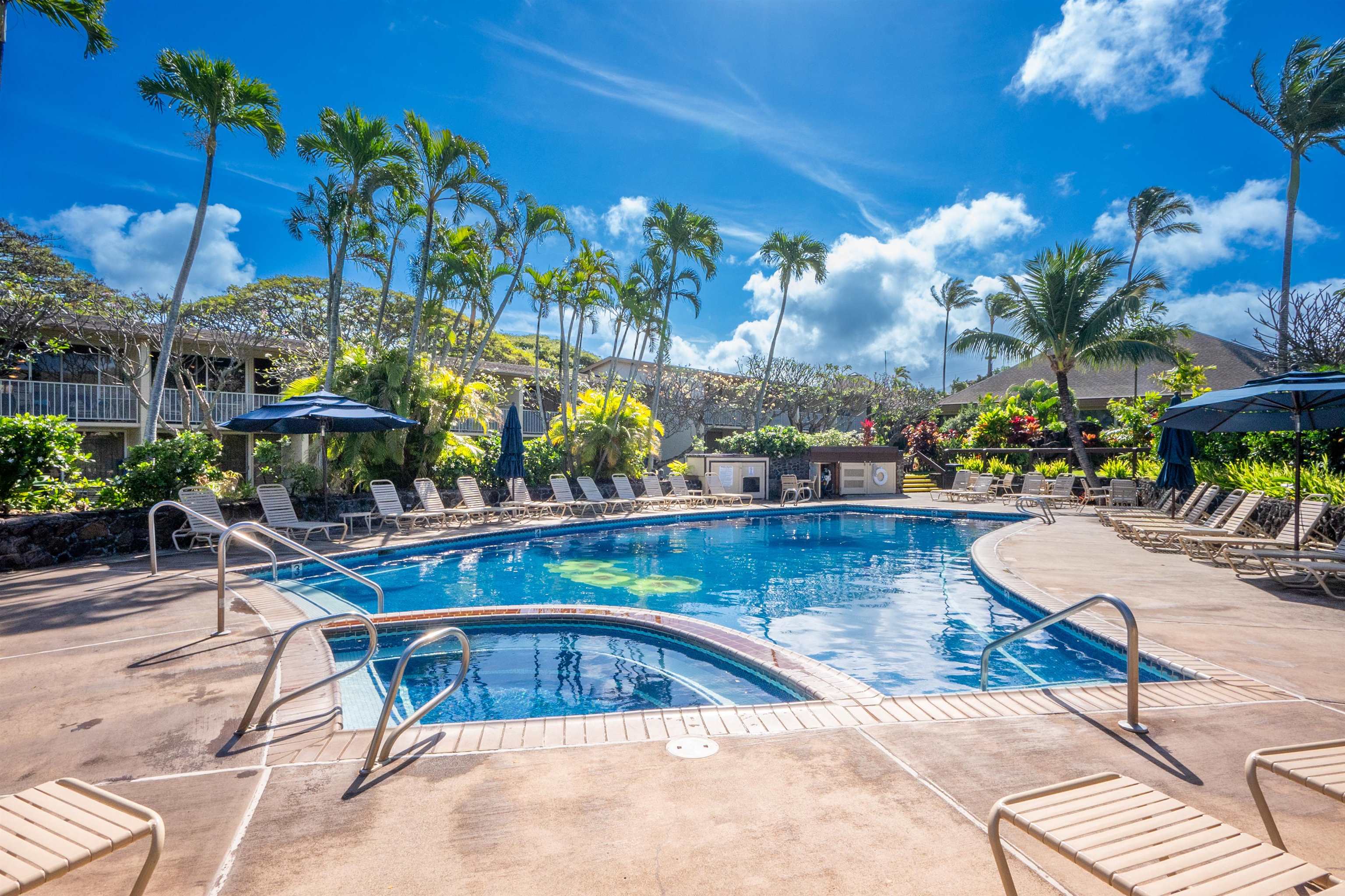 Napili Shores condo # D124, Lahaina, Hawaii - photo 13 of 24