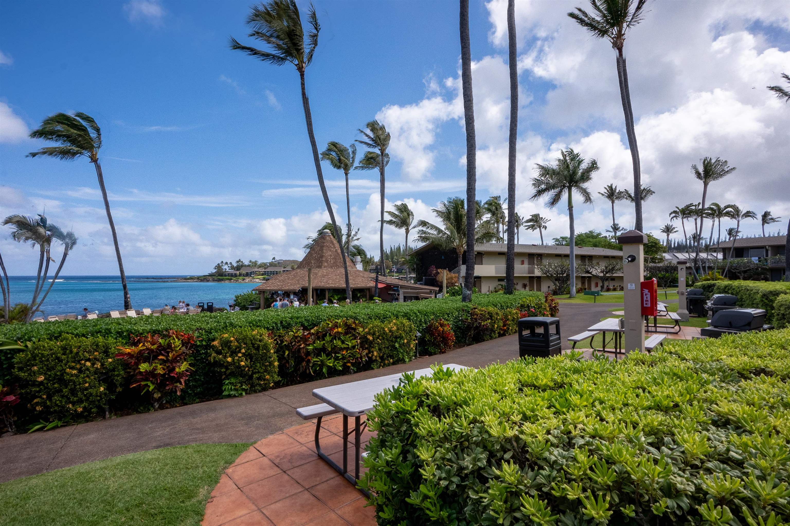 Napili Shores condo # D124, Lahaina, Hawaii - photo 16 of 24