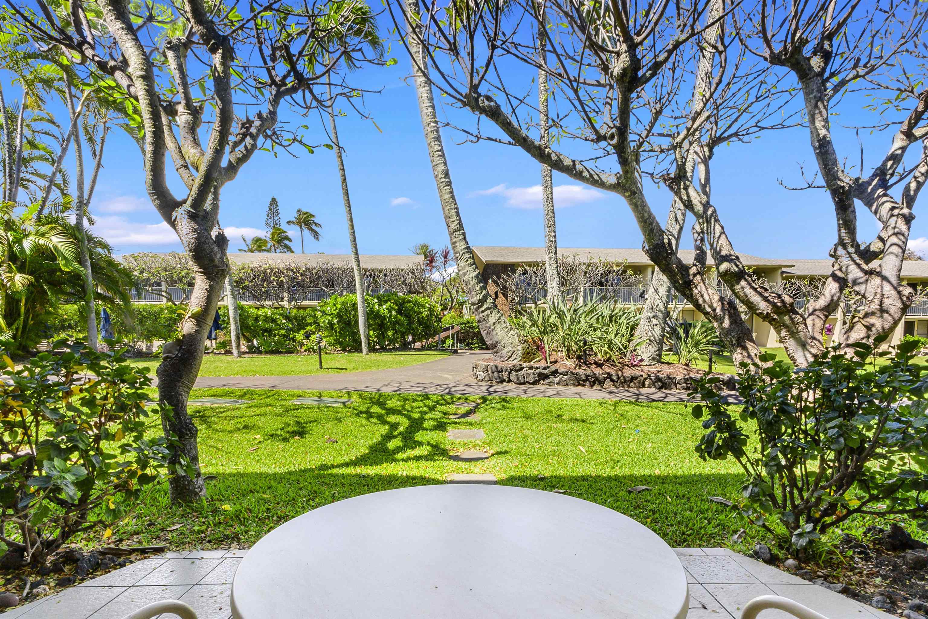 Napili Shores condo # D124, Lahaina, Hawaii - photo 10 of 24